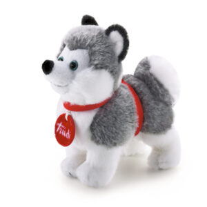 Trudino husky - 