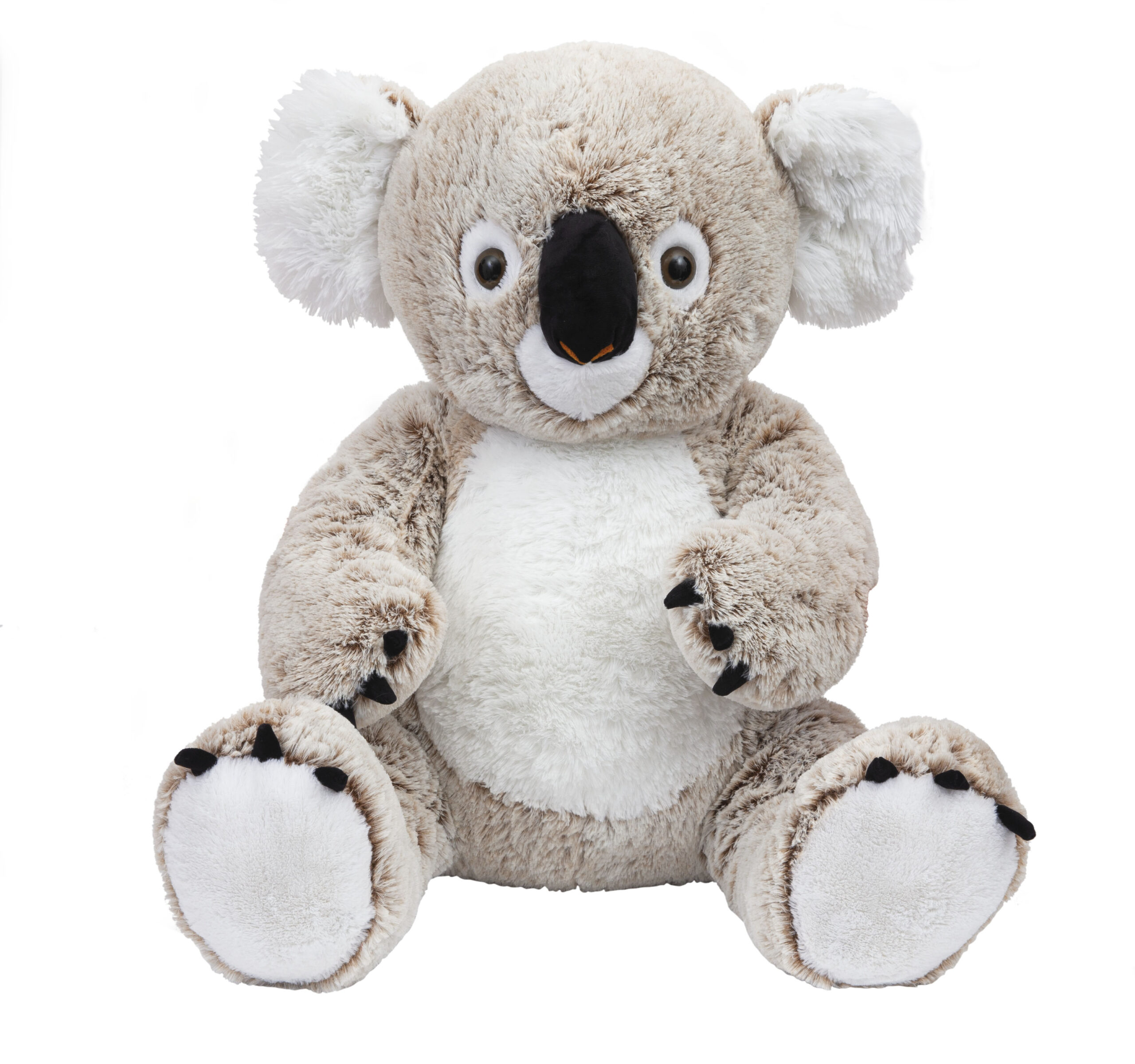 Peluche koala 62cm - AMI PLUSH