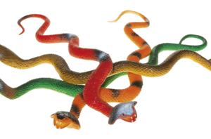 Serpenti - savannah collection - ANIMAL WORLD