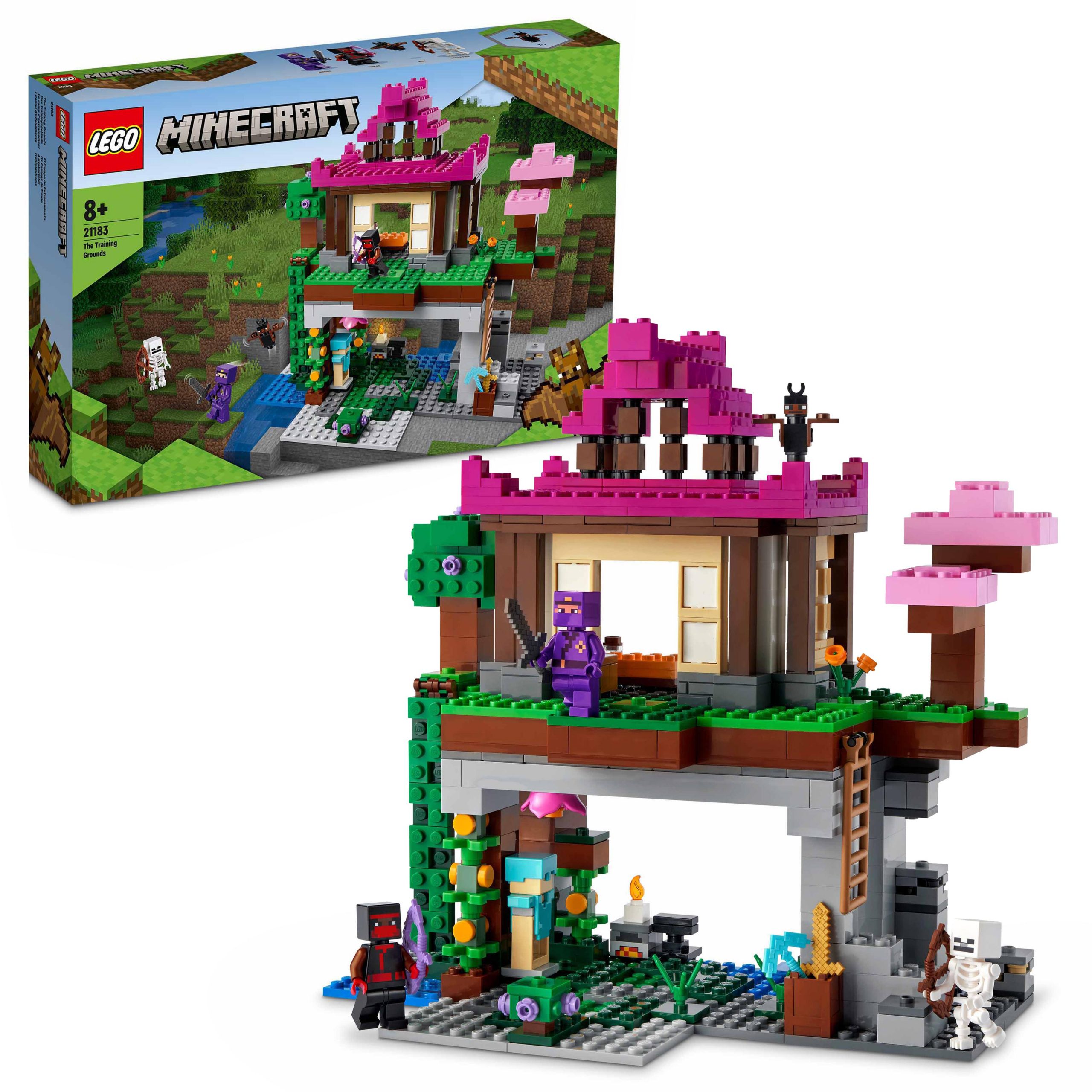 Lego minecraft i campi d'allenamento, idea regalo, dojo e bottega del  fabbro, giocattoli per bambini di 8+ anni, 21183 - Toys Center