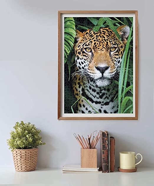 Clementoni high quality collection puzzle jaguar in the jungle 500 pezzi - CLEMENTONI