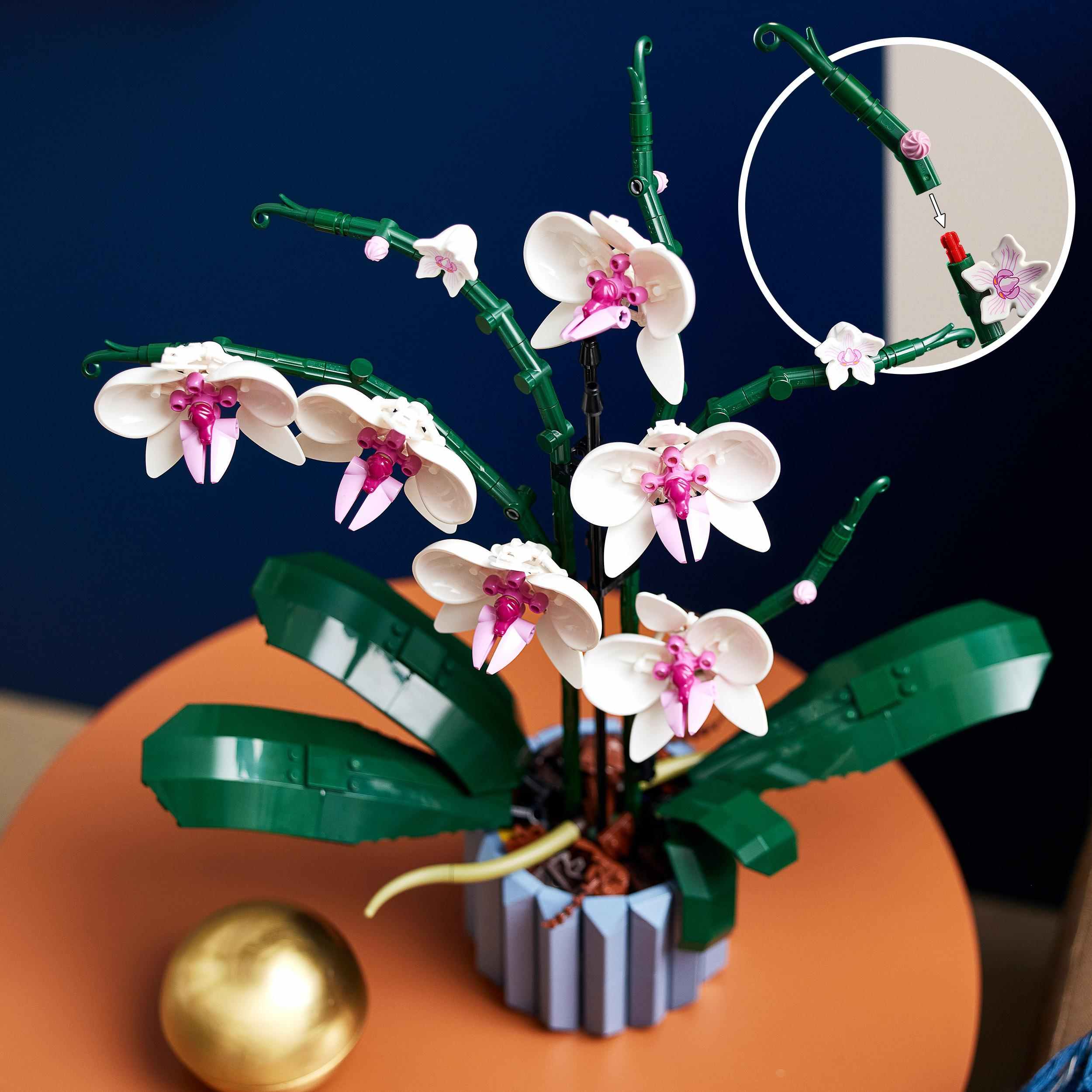 Offerte : LEGO Icons Orchidea disponibile in sconto