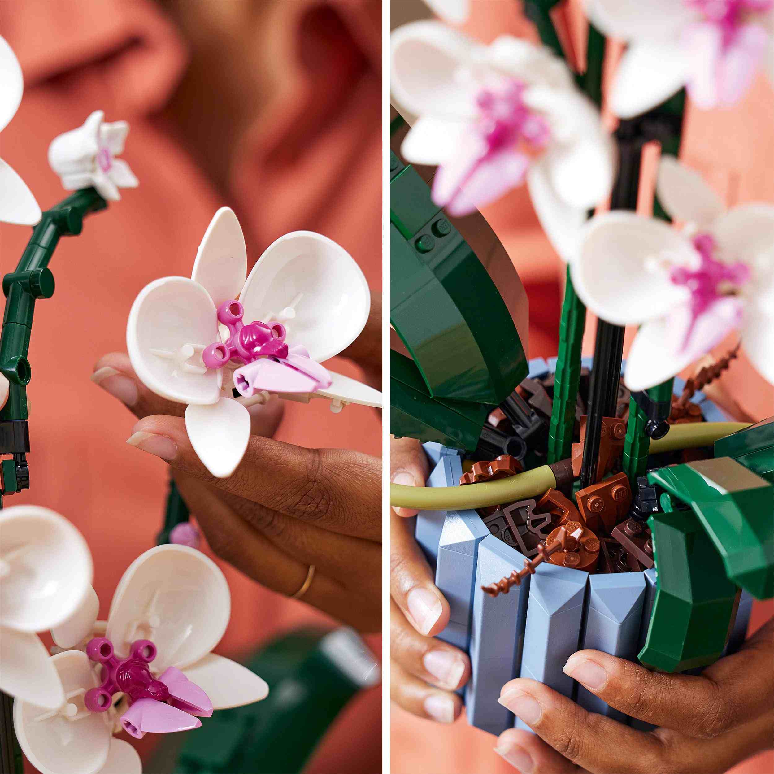 LEGO Icons Orchidea, Set Collezione Botanica Piante Artificiali, Modellino  da Costruire con Fiori Finti, Kit Modellismo per Adulti, Idee Regalo per  Donna o Uomo, Moglie o Marito, Hobby Creativi 10311 : 