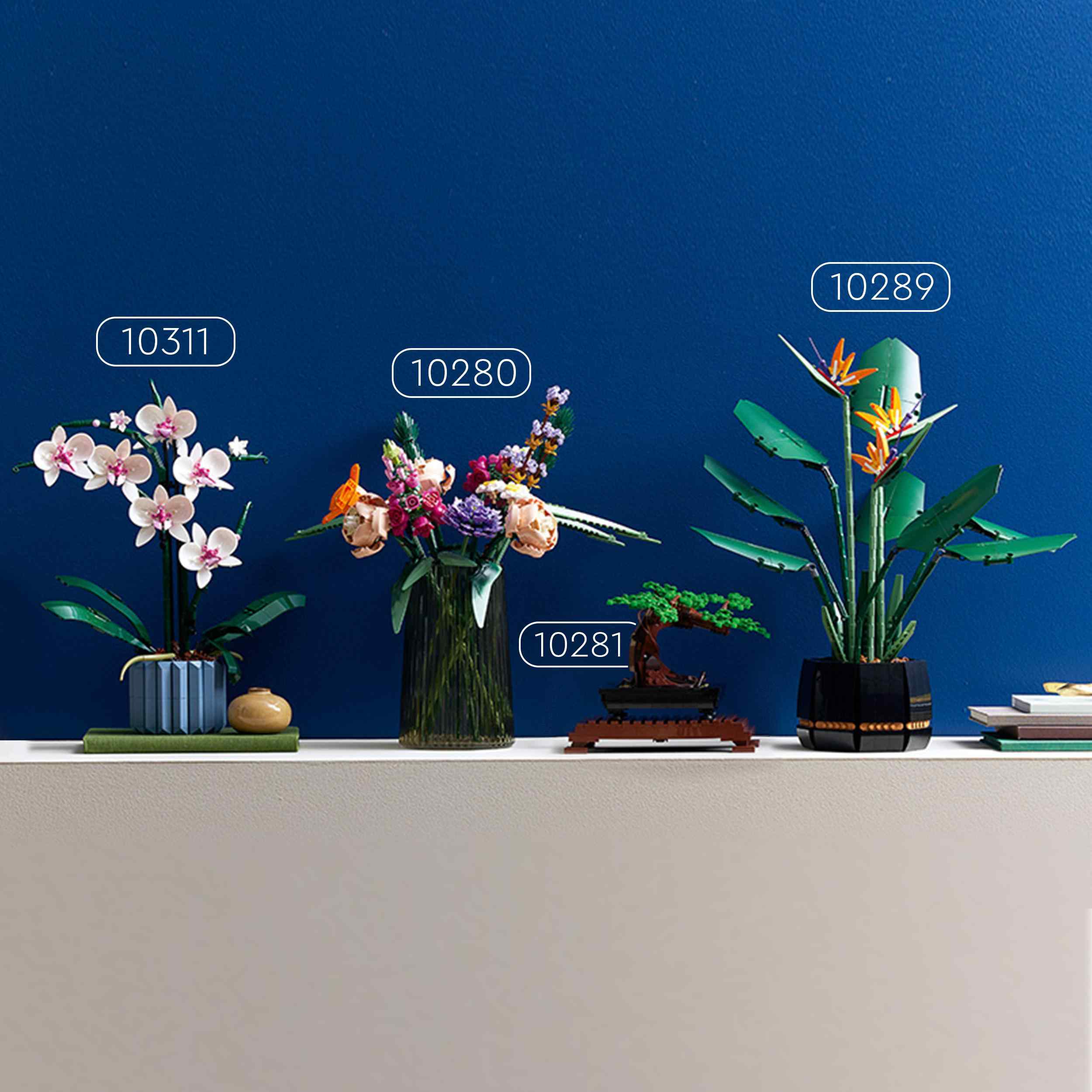 Lego 10311 orchidea, set per adulti da collezione, hobby creativi