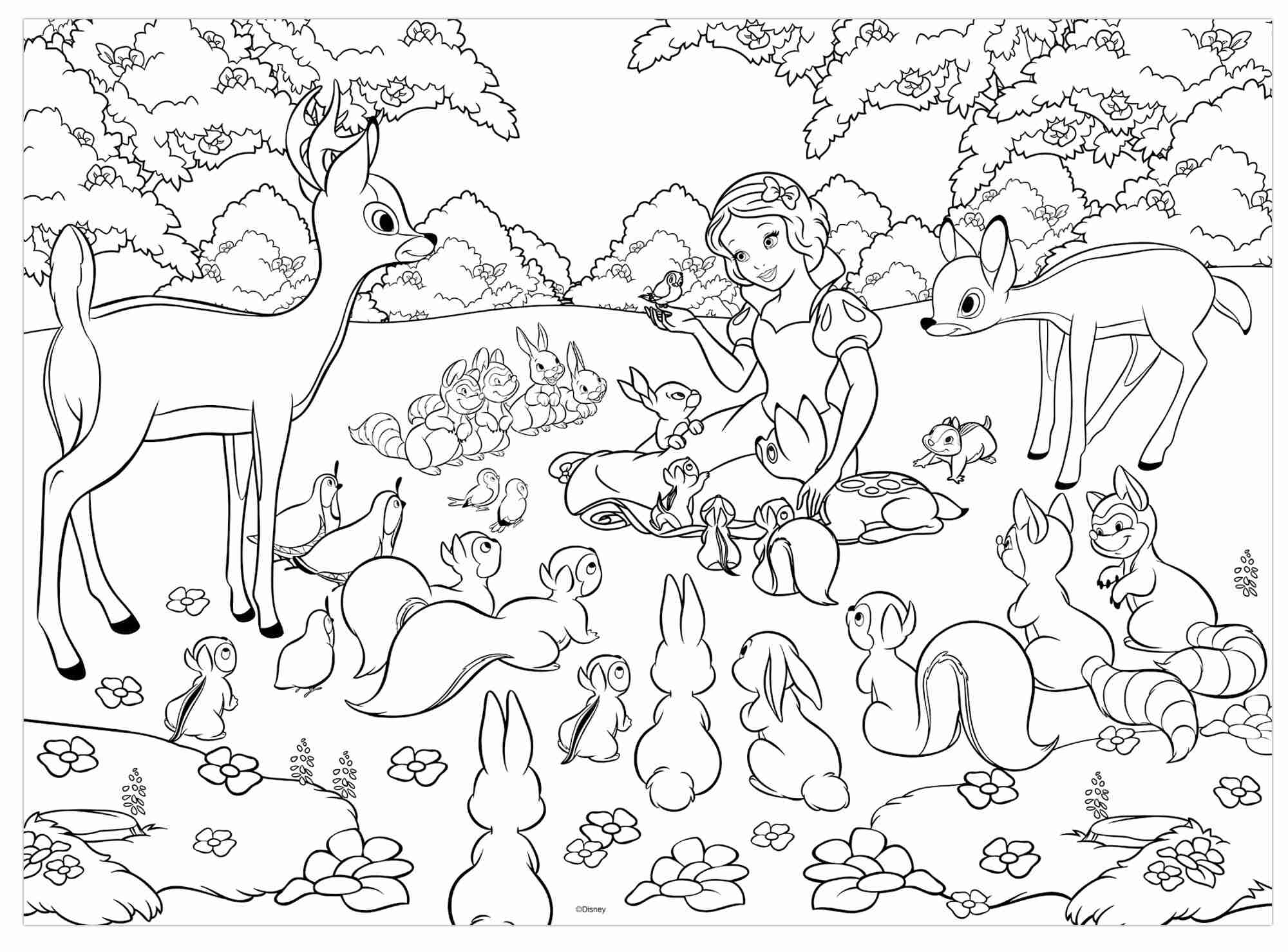 Disney puzzle df maxi floor 60 snow white - DISNEY PRINCESS, LISCIANI