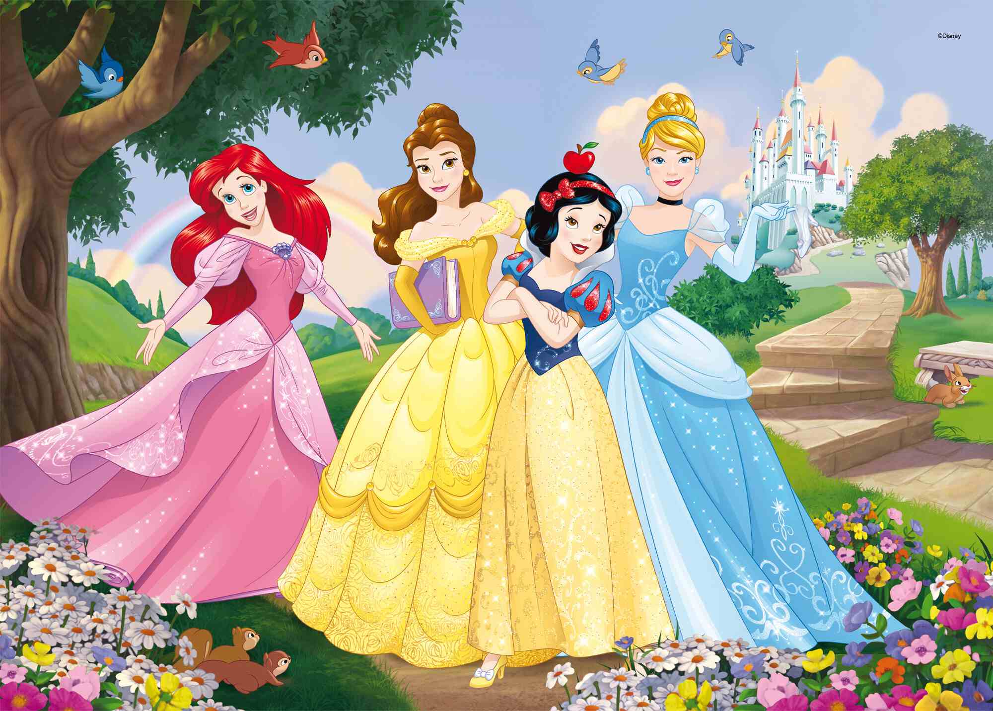 Disney puzzle df maxi floor 35 princess - DISNEY PRINCESS, LISCIANI