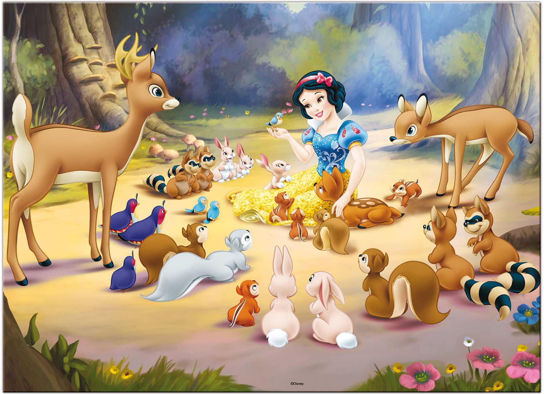 Disney puzzle df maxi floor 60 snow white - DISNEY PRINCESS, LISCIANI