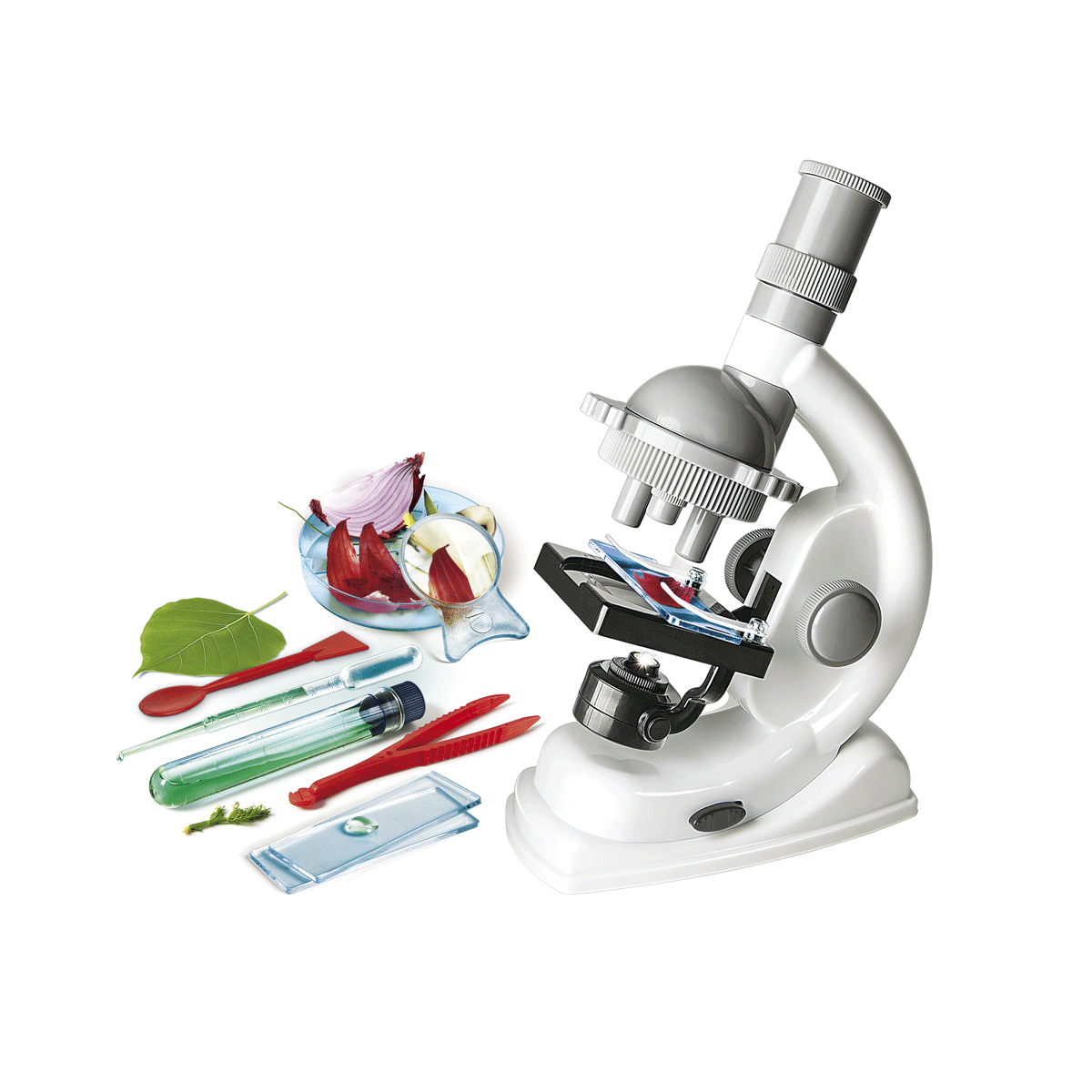 Clementoni - scienza e gioco lab - scienze al microscopio - Scienza e Gioco