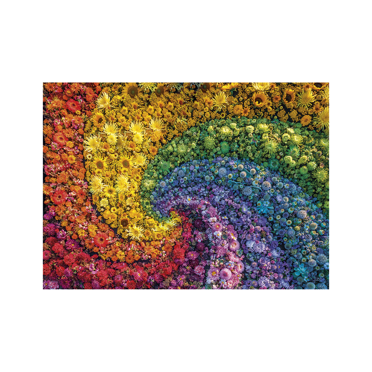 Clementoni puzzle colorboom collection - whirl - puzzle adulti 1000 pezzi - CLEMENTONI