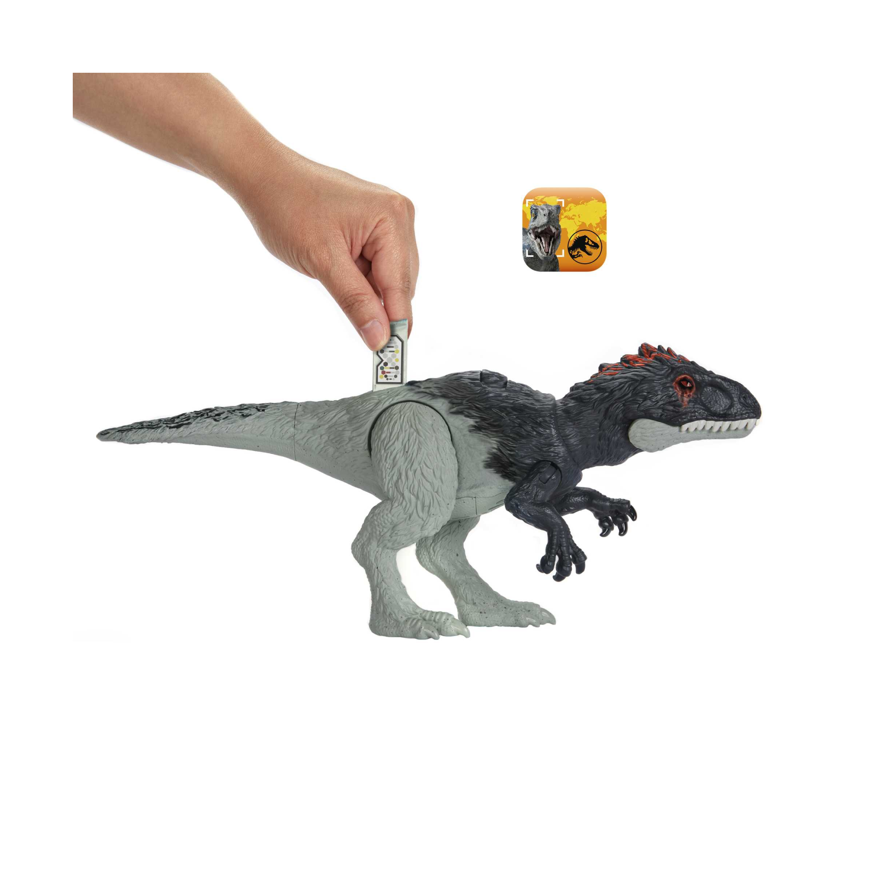 Jurassic world - ruggito selvaggio, eocarcaria, con suoni e mossa d'attacco, dimensioni medie, snodato e con gioco digitale, giocattolo per bambini, 4+ anni, hlp17 - Jurassic World