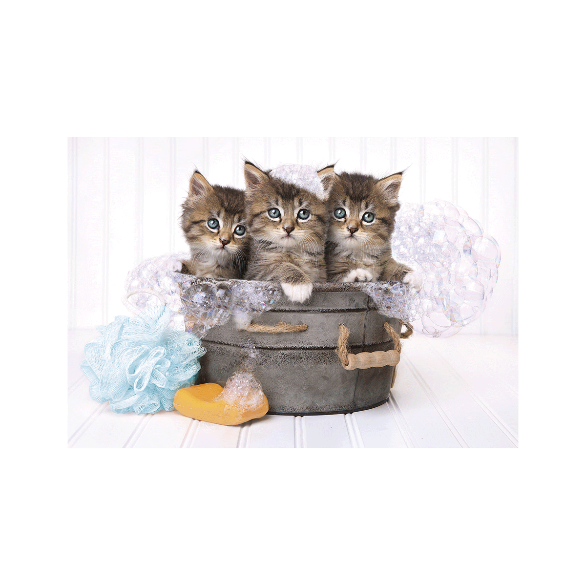 Clementoni supercolor puzzle - lovely kittens - 180 pezzi, puzzle bambini 7 anni - CLEMENTONI
