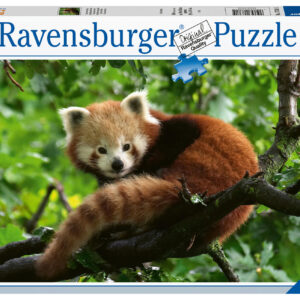 Ravensburger - puzzle panda rosso, 500 pezzi, puzzle adulti - RAVENSBURGER