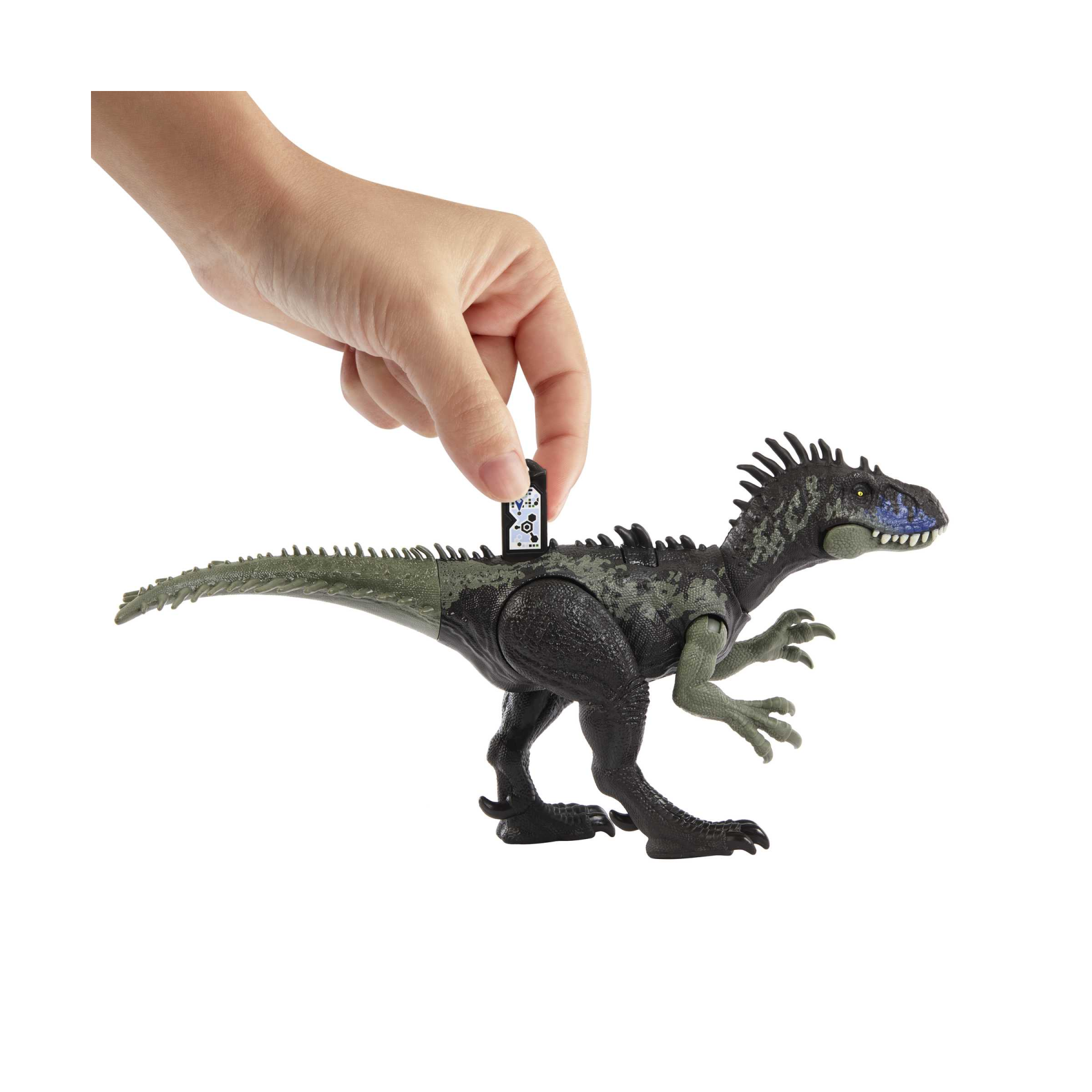 Jurassic world - ruggito selvaggio, driptosauro, con suoni e mosse d'attacco, dimensioni medie, snodato e con gioco digitale​, giocattolo per bambini, 4+ anni, hlp15 - Jurassic World