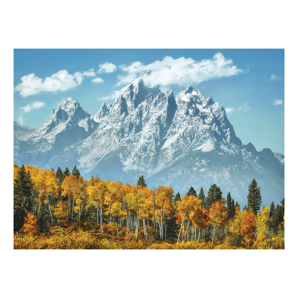 Clementoni puzzle high quality collection - grand teton in fall - 500 pezzi, puzzle adulti - CLEMENTONI