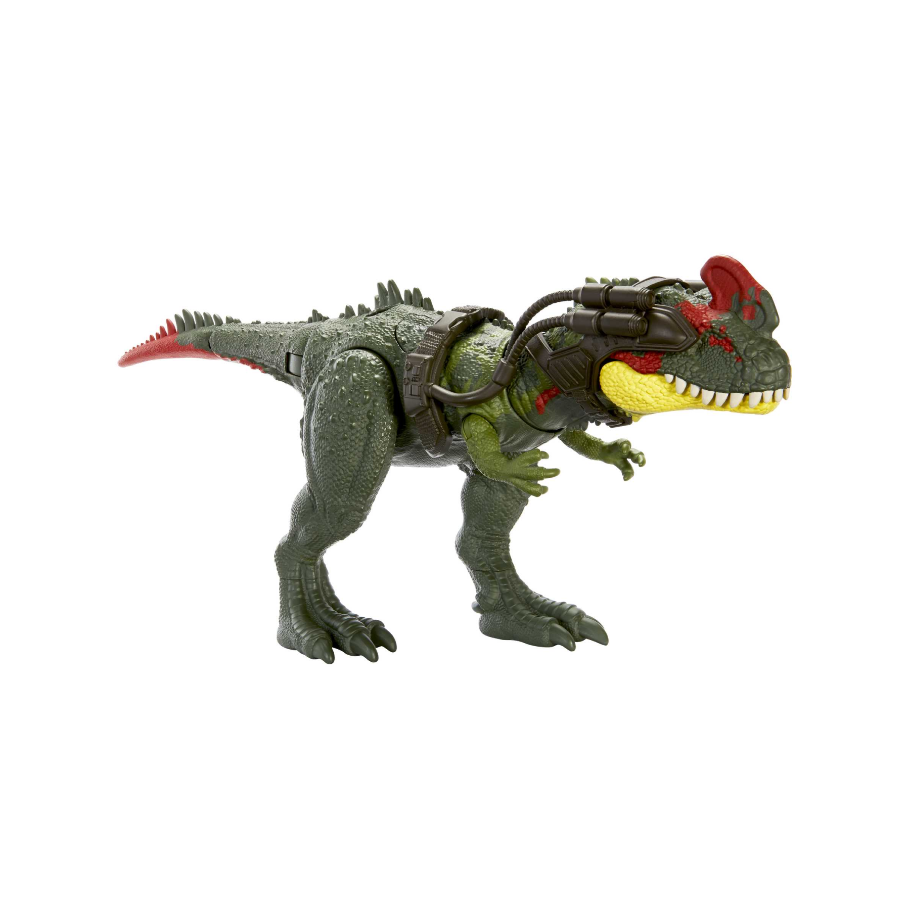 Jurassic world - predatori giganti, sinotiranno, dinosauro di grandi dimensioni con mossa d'attacco e kit di tracciamento, per il gioco classico e digitale, giocattolo, 4+ anni, hlp25 - Jurassic World