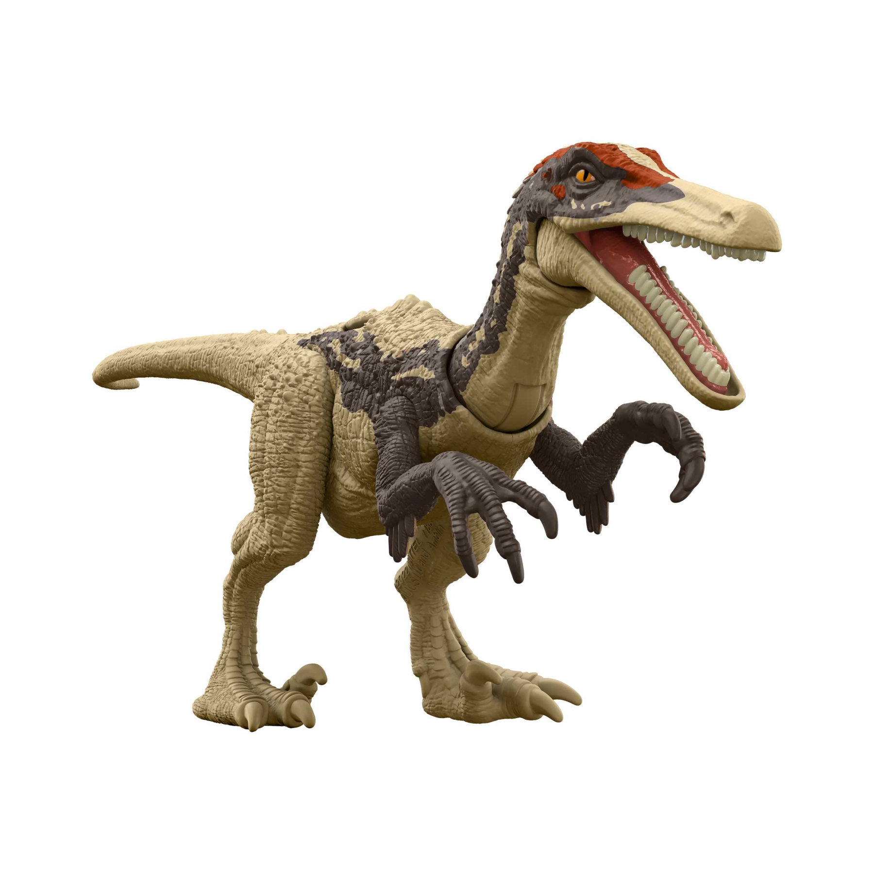 Jurassic world pericolo giurassico - austroraptor, dinosauro snodato con design autentico, specie di medie dimensioni lungo 18 cm e alto 7+ cm, giocattolo per bambini, 4+ anni, hln50 - Jurassic World