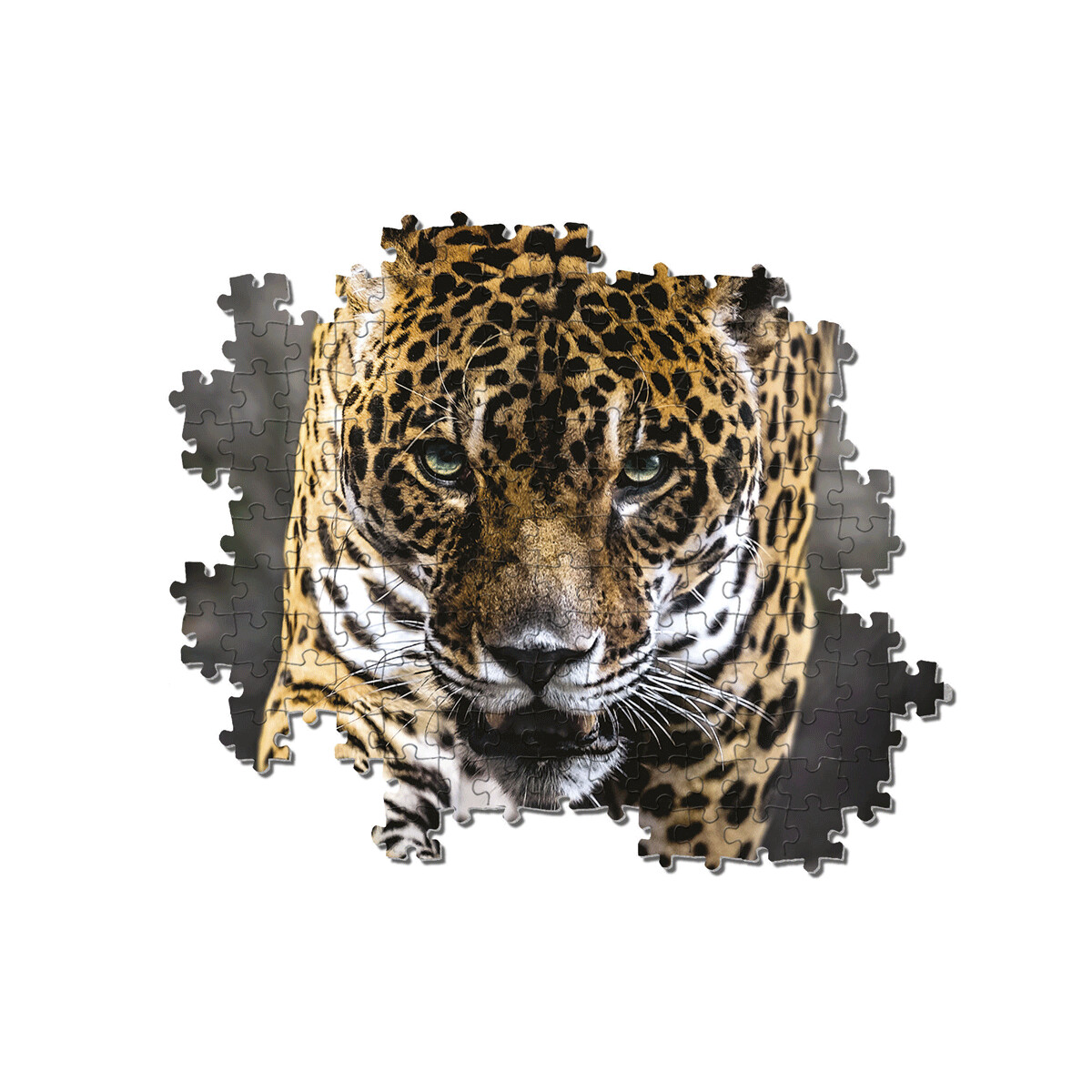 Clementoni - 39326 - puzzle 1000 hqc walk of jaguar 70 x 50 cm - CLEMENTONI