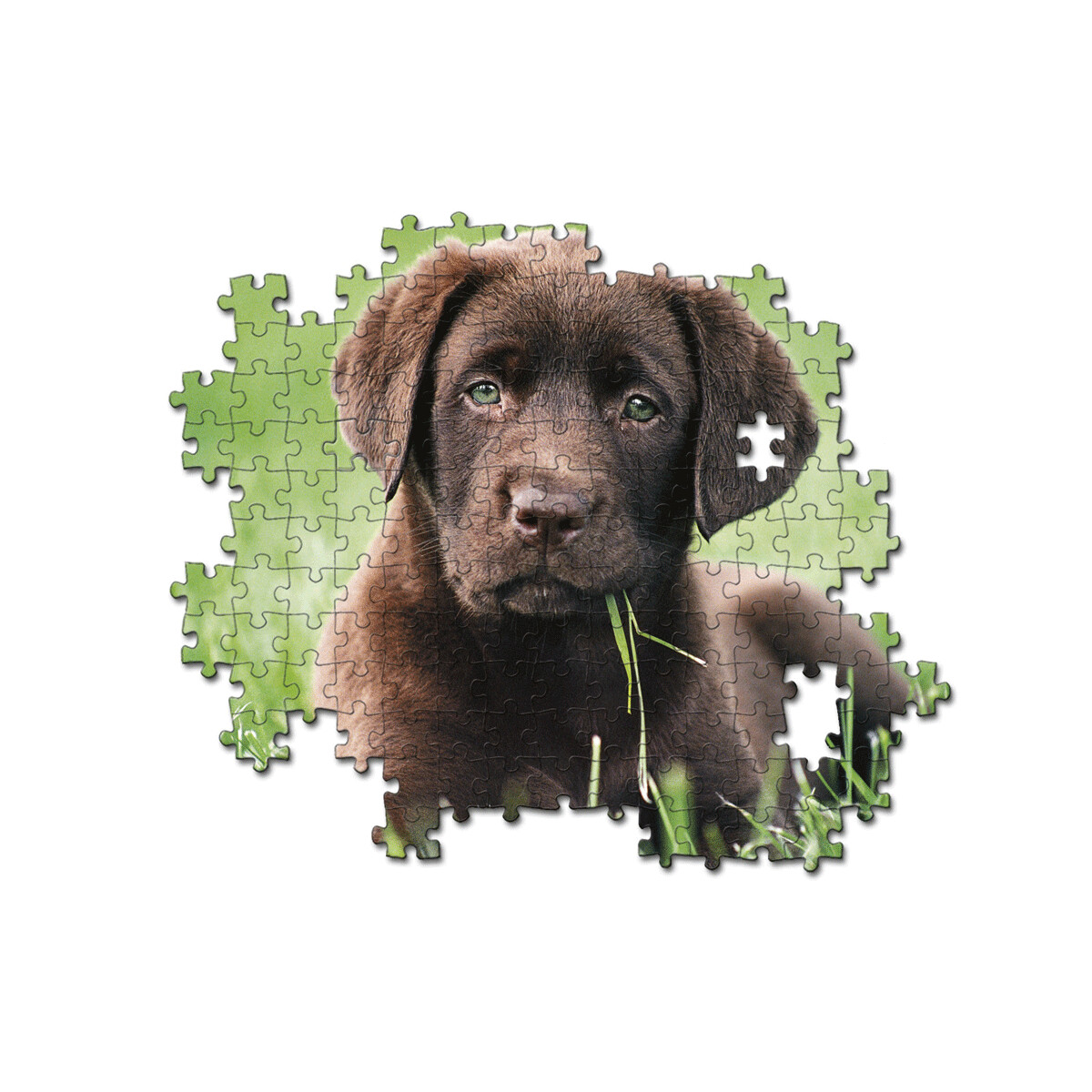 Clementoni - 35072 - puzzle 500 chocolate puppy 49 x 36 cm - CLEMENTONI