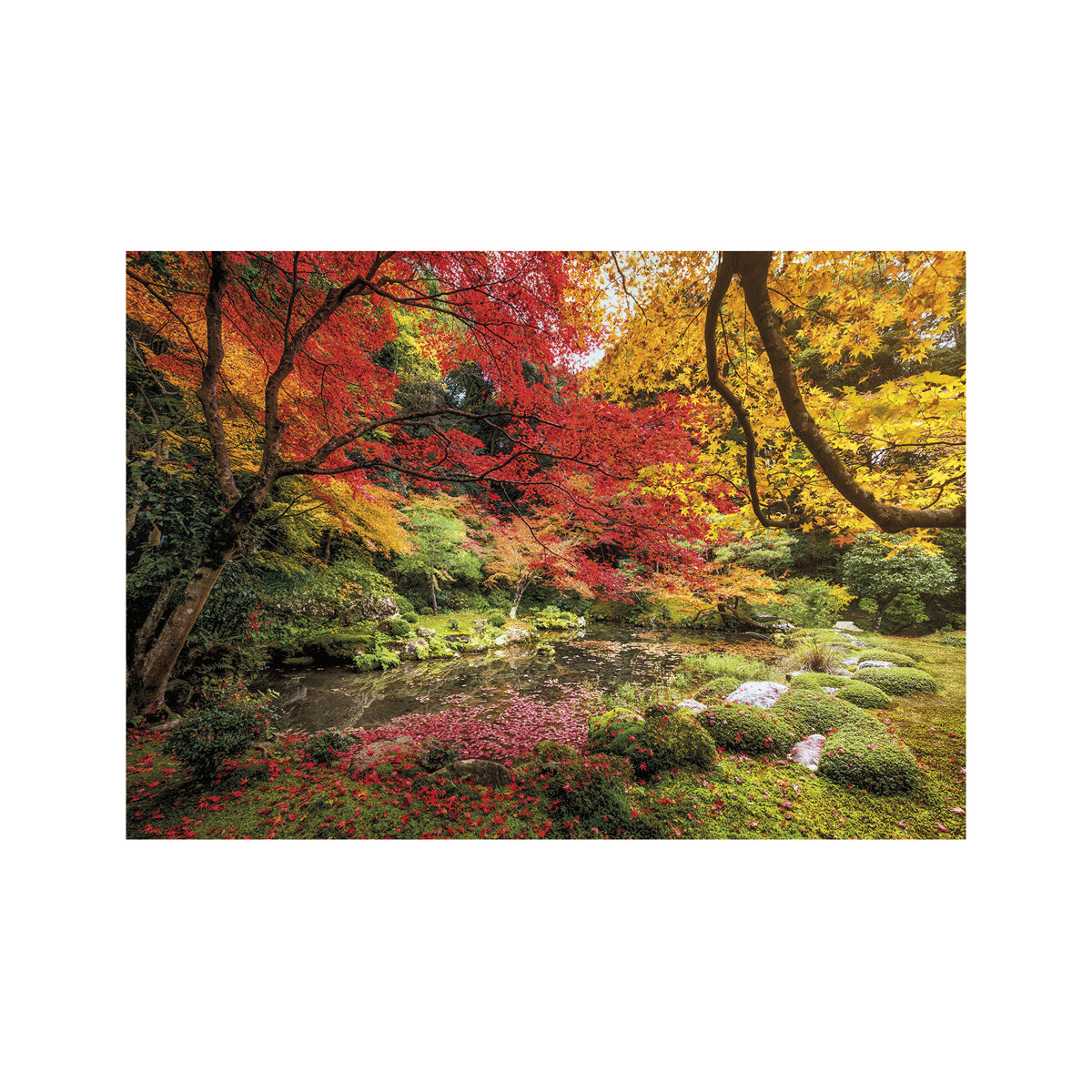Clementoni - 31820 - puzzle 1500 hqc autumn park 59 x 84 cm - CLEMENTONI
