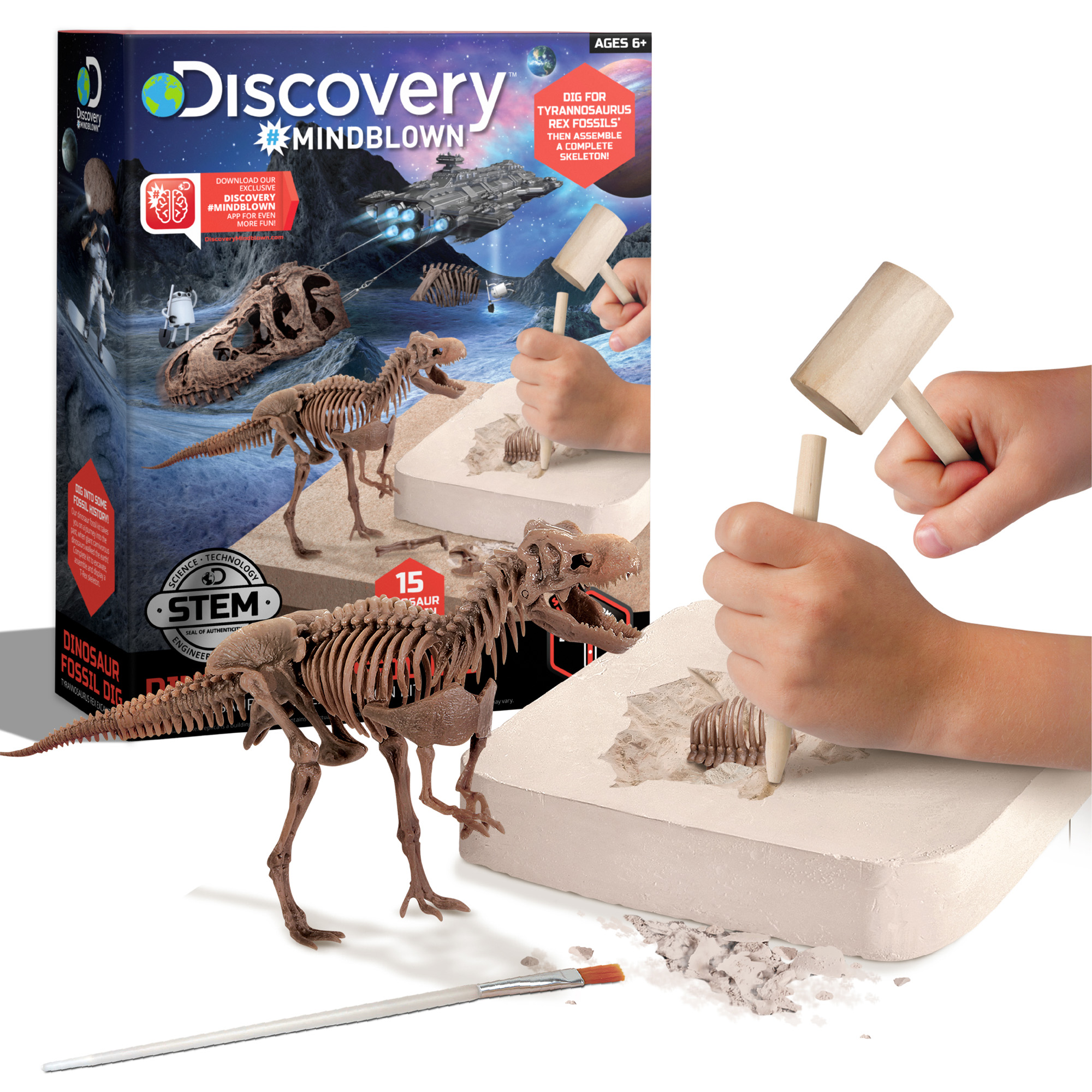 Kit paleontologo con scheletro t-rex 3d - Discovery Mindblown