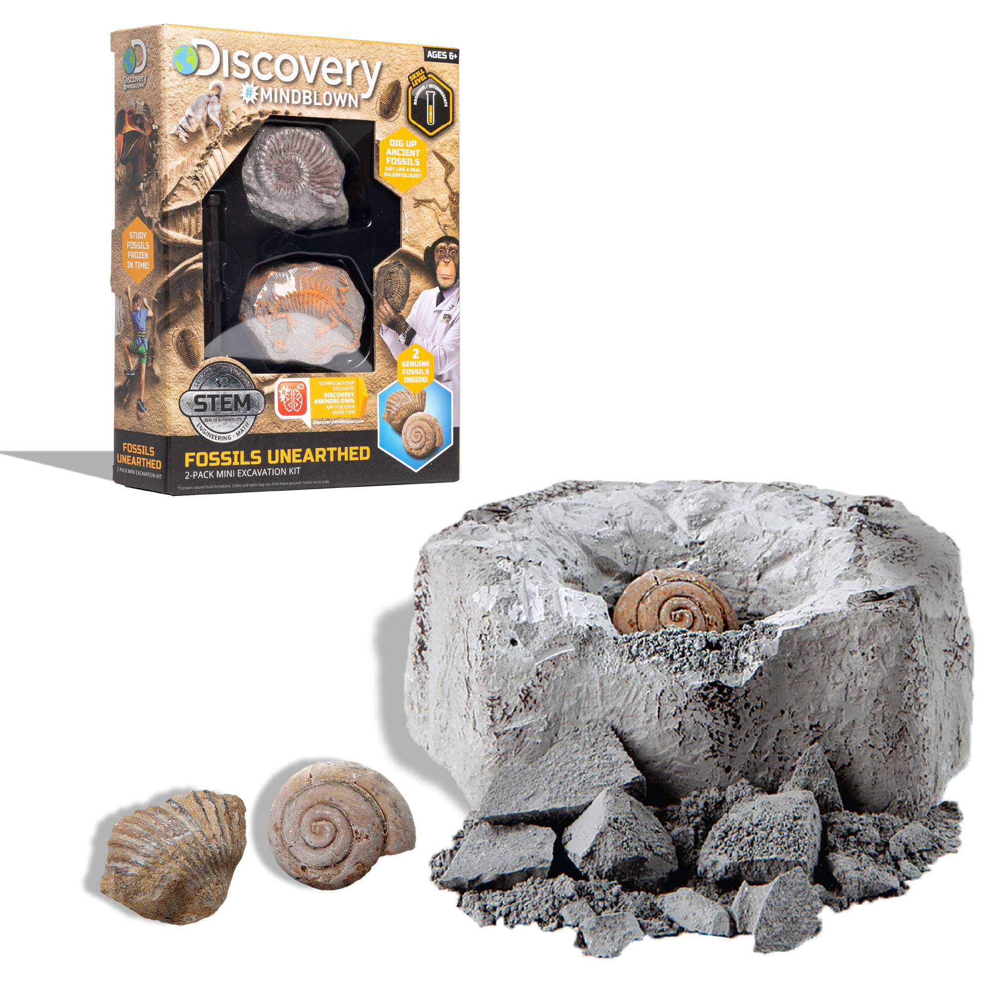 Kit paleontologo con 2 mini fossili - Discovery Mindblown