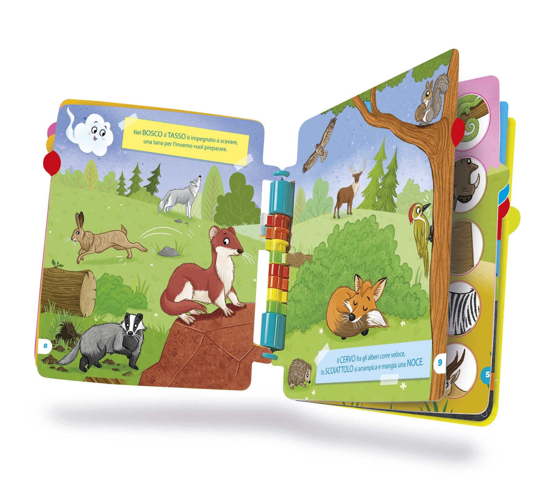 Sapientino - girapagina libro animali e ambienti - SAPIENTINO