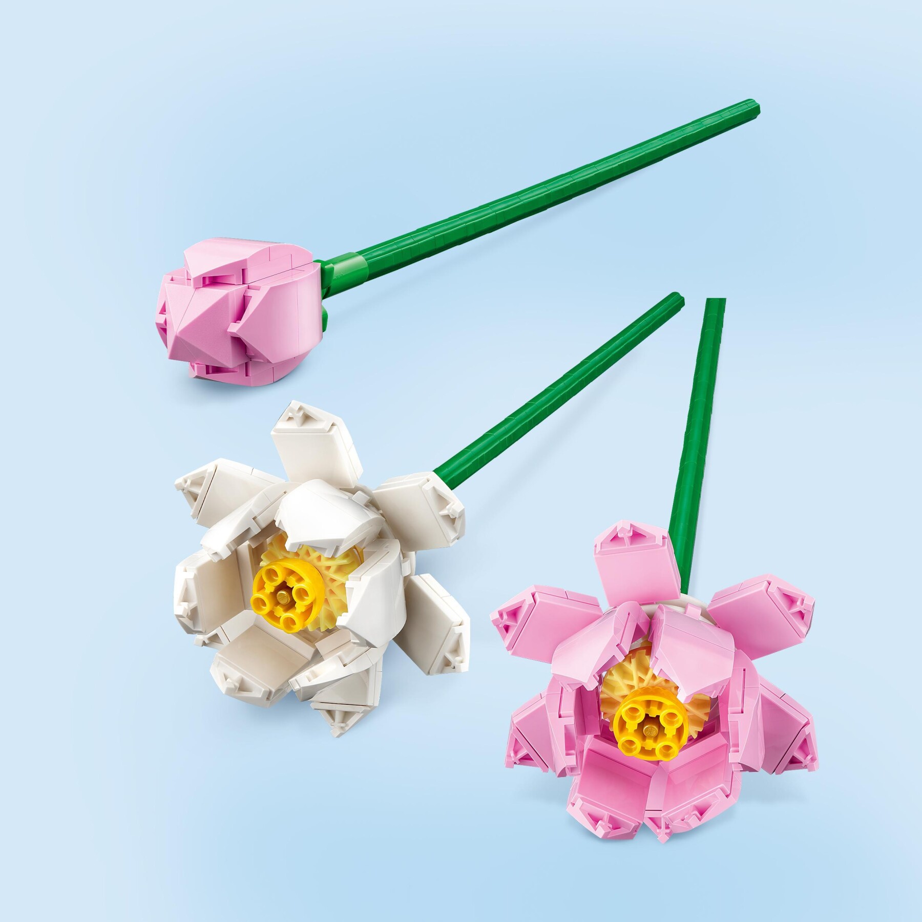 Lego creator 40647 fiori di loto, fiori finti per bambini da 8+, bouquet regalo per san valentino, per lei o lui, donna o uomo - LEGO CREATOR