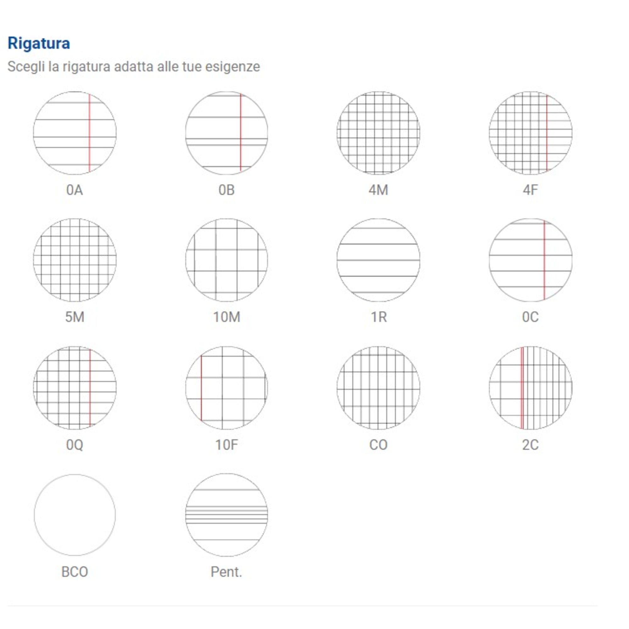 Confenzione 5 quaderni a4 maxiq - rigatura 1r - righe - BLASETTI