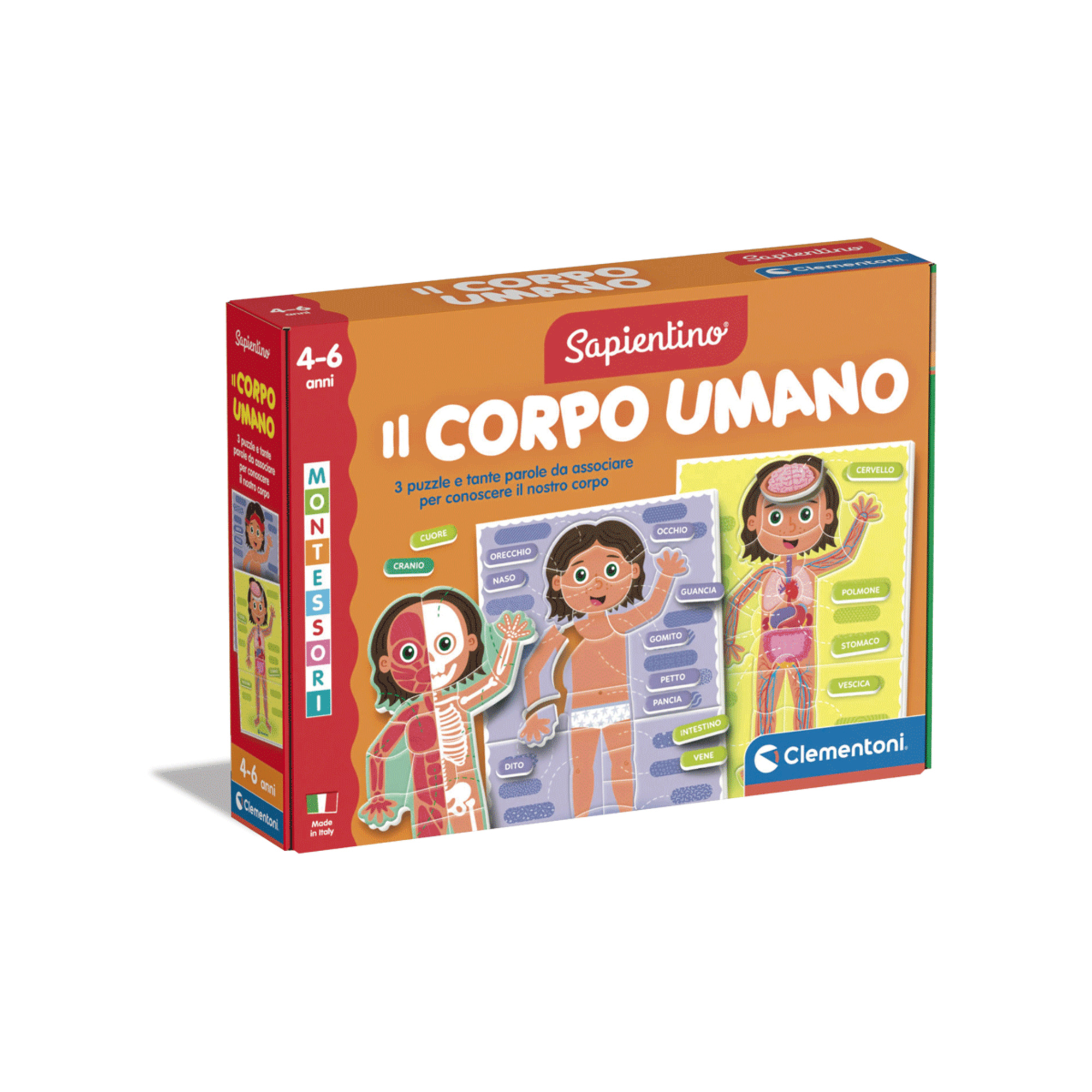 Sapientino corpo umano - impara giocando con i principi montessori - SAPIENTINO