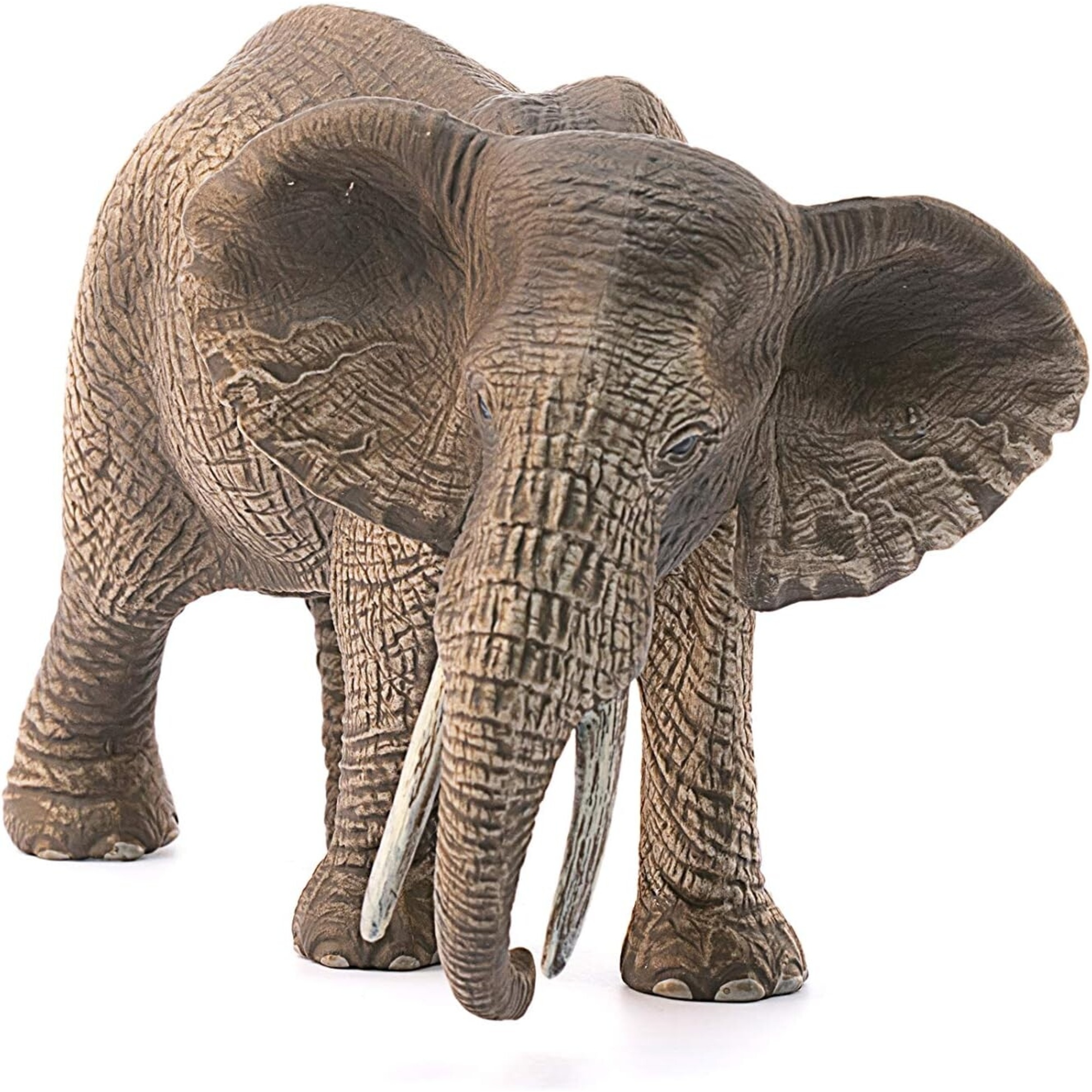Schleich 14761 femmina di elefante africano, da 3 anni, wild life – figura, 14,6 x 7,5 x 9,1 cm - Schleich