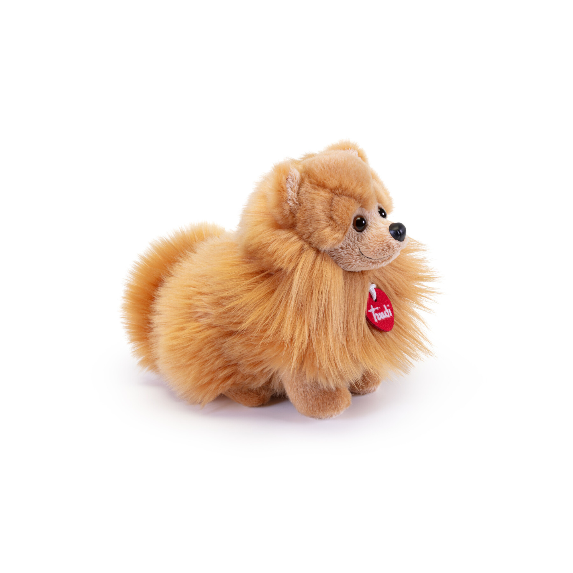 Pomerania biscuit peluche - trudi - Trudi