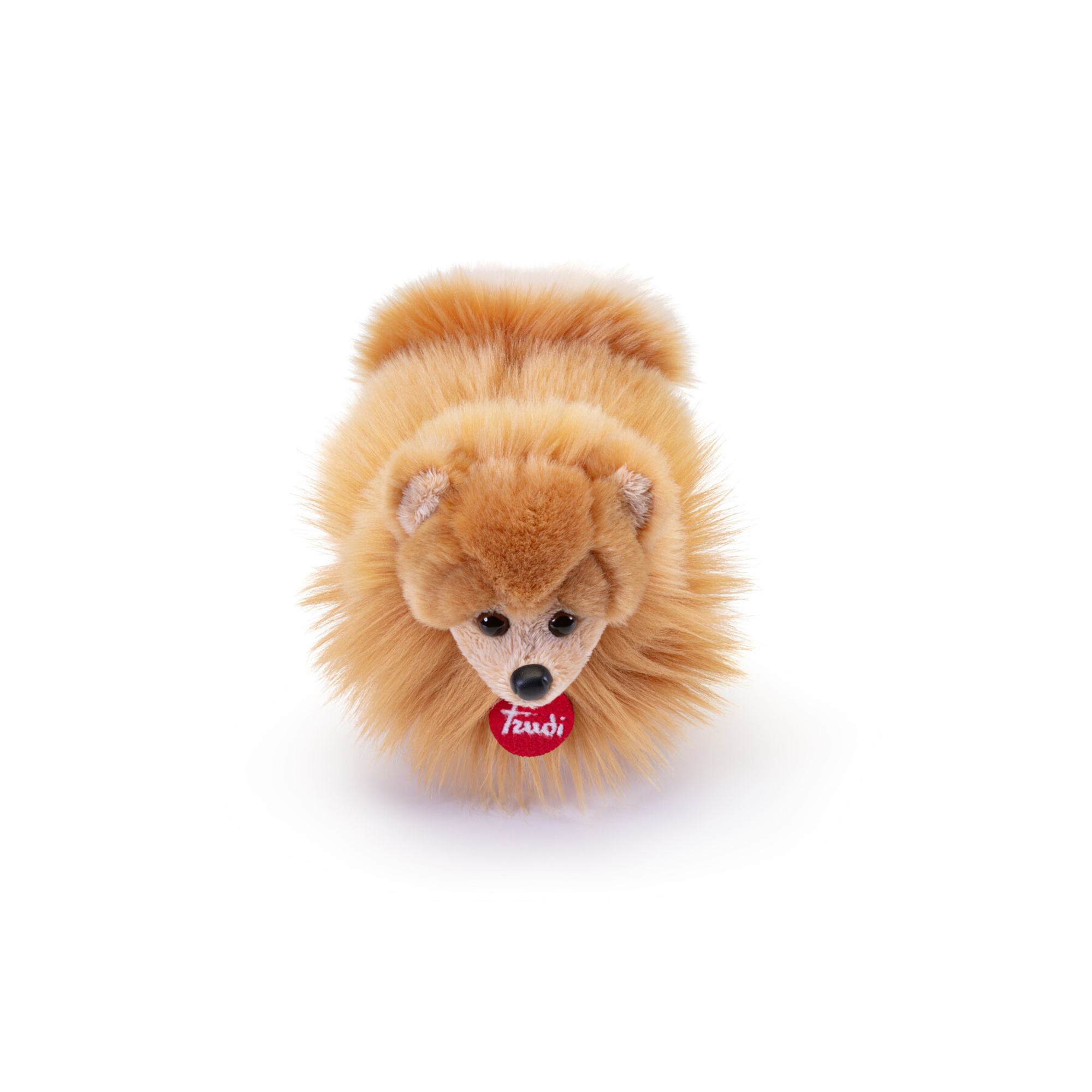 Pomerania biscuit peluche - trudi - Trudi