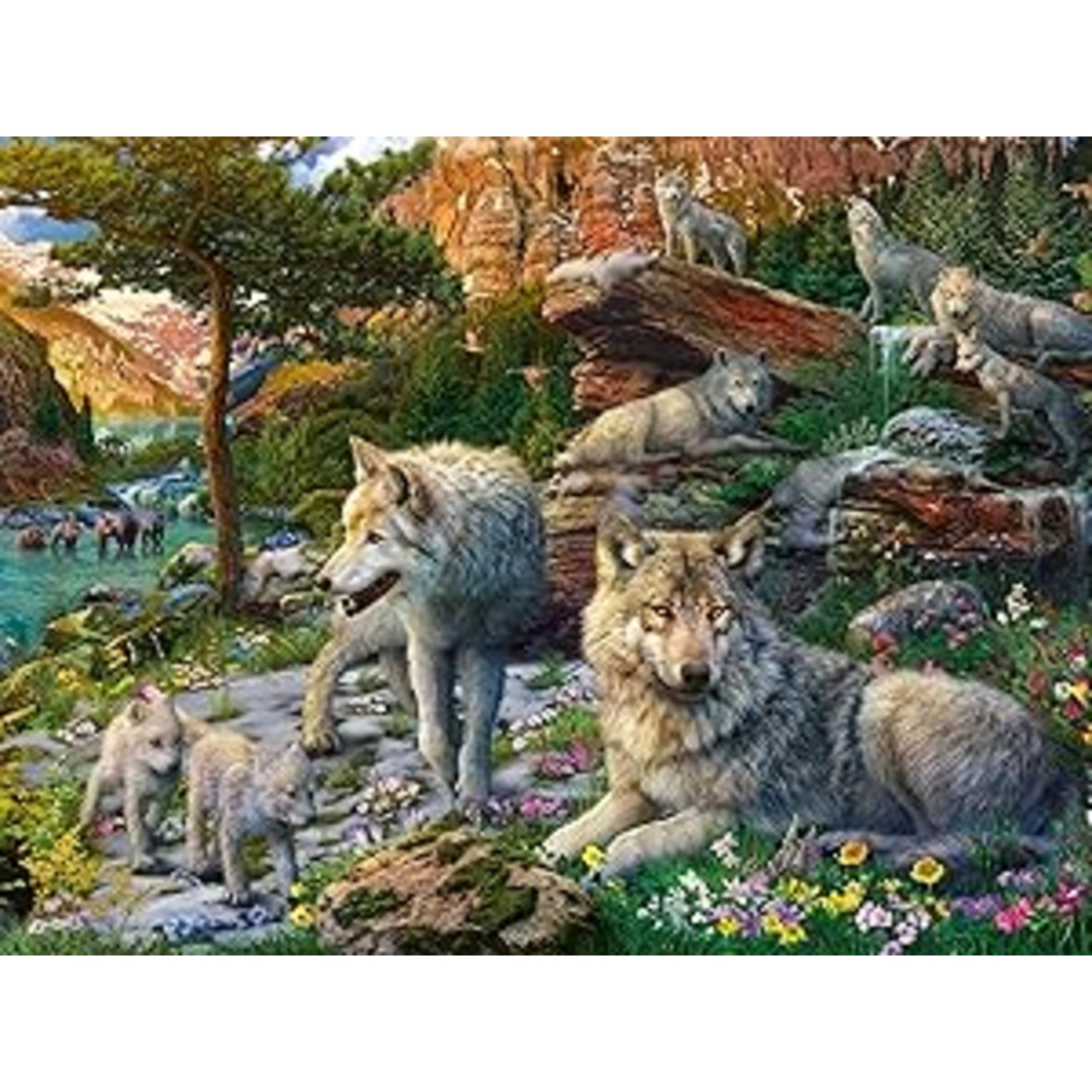 Puzzle 1500 pezzi lupi in primavera - puzzle ravensburger per adulti - RAVENSBURGER