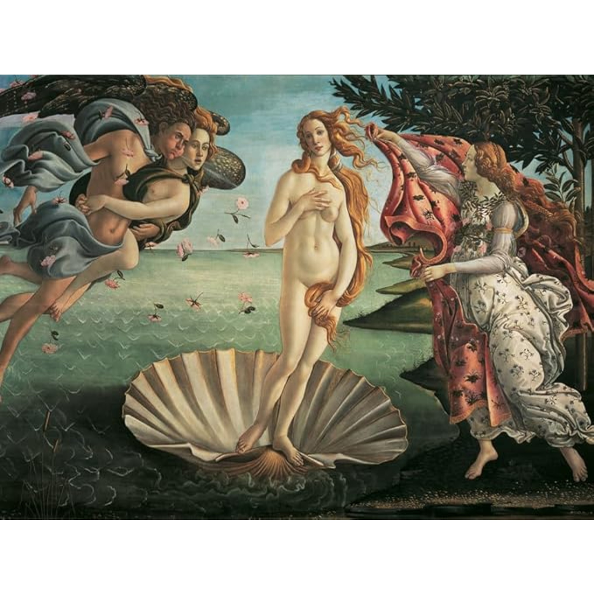 Puzzle 1000 pezzi botticelli venere - puzzle ravensburger per adulti - RAVENSBURGER