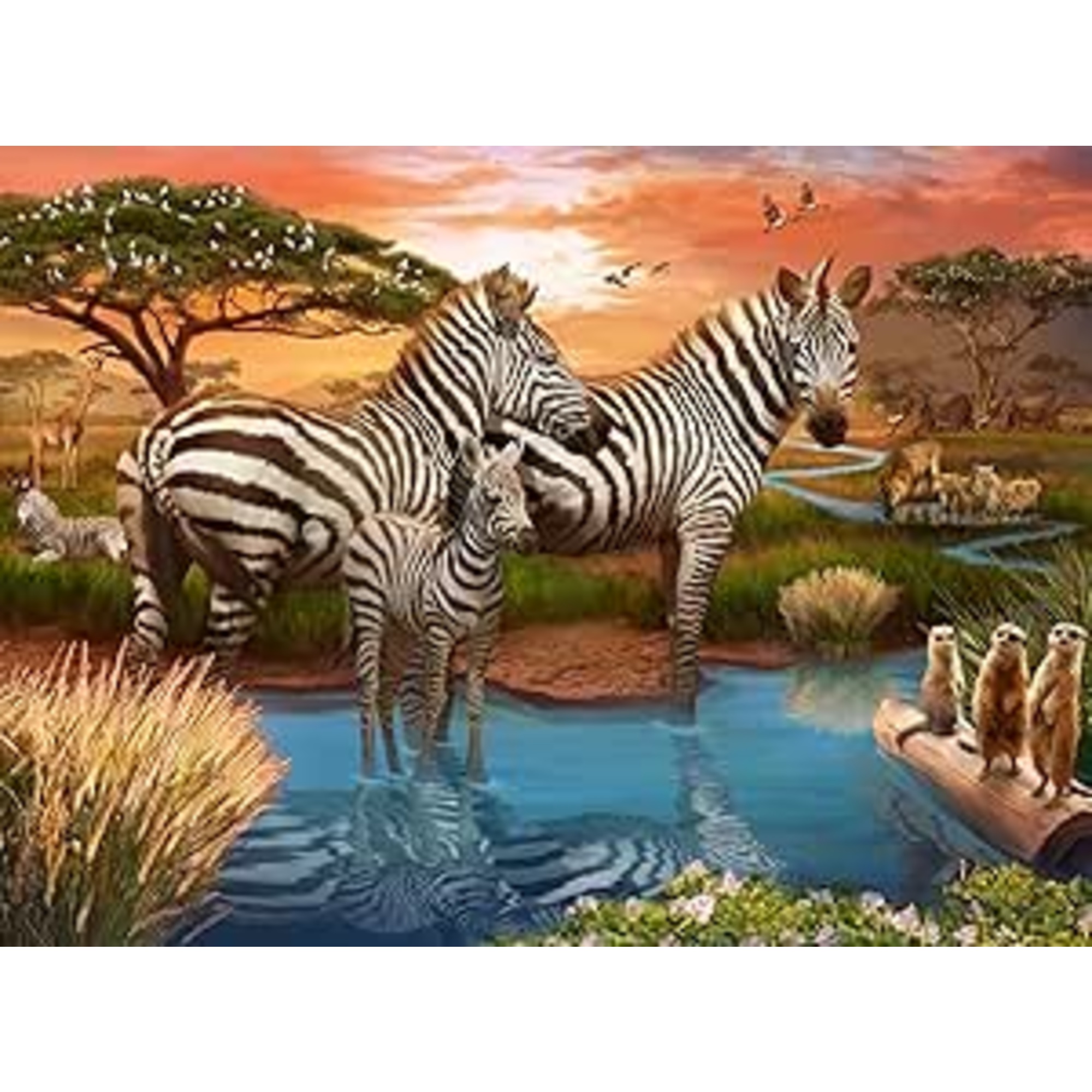 Puzzle 500 pezzi zebre alla pozza d’acqua - puzzle ravensburger per adulti - RAVENSBURGER