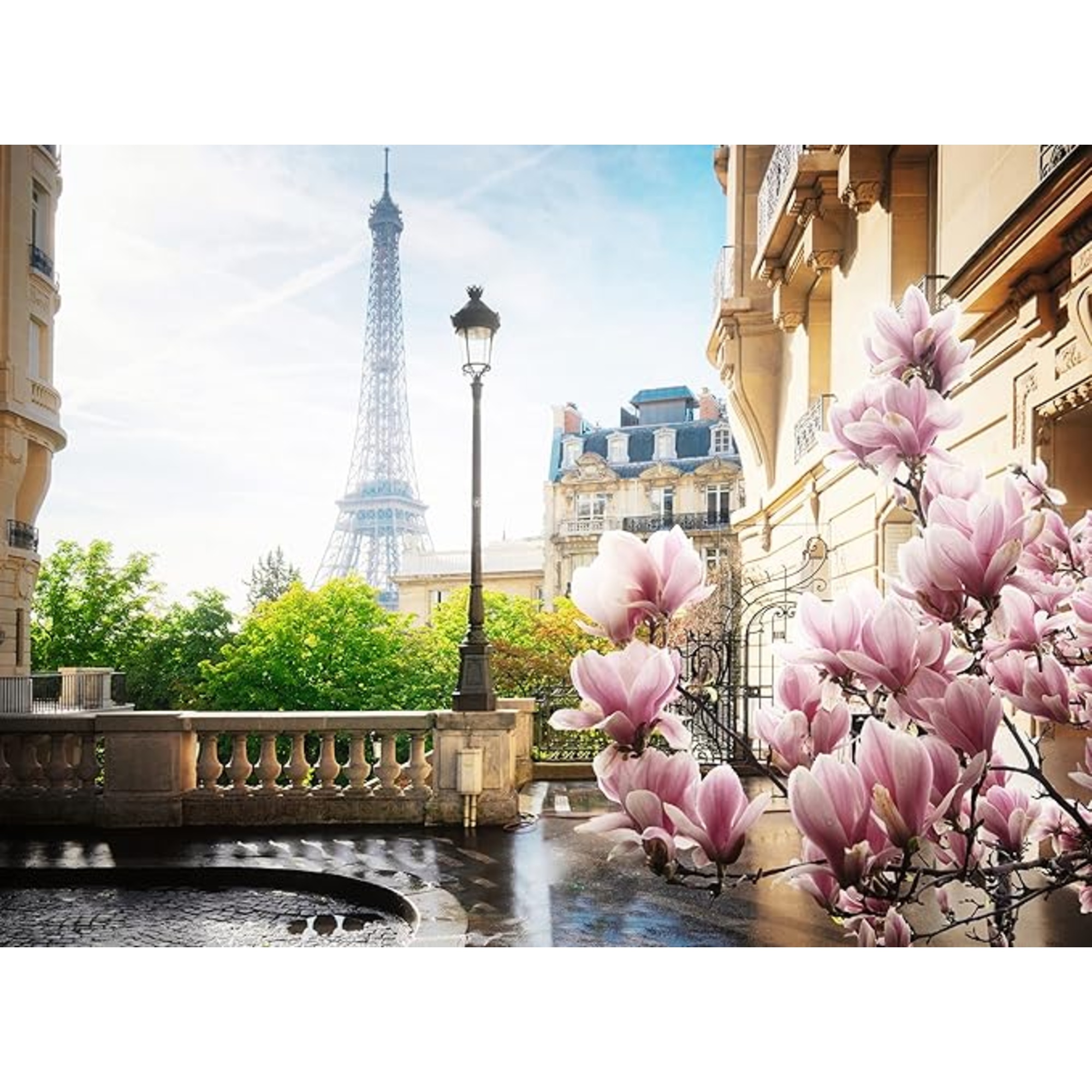 Puzzle 500 pezzi primavera a parigi - puzzle ravensburger per adulti - RAVENSBURGER