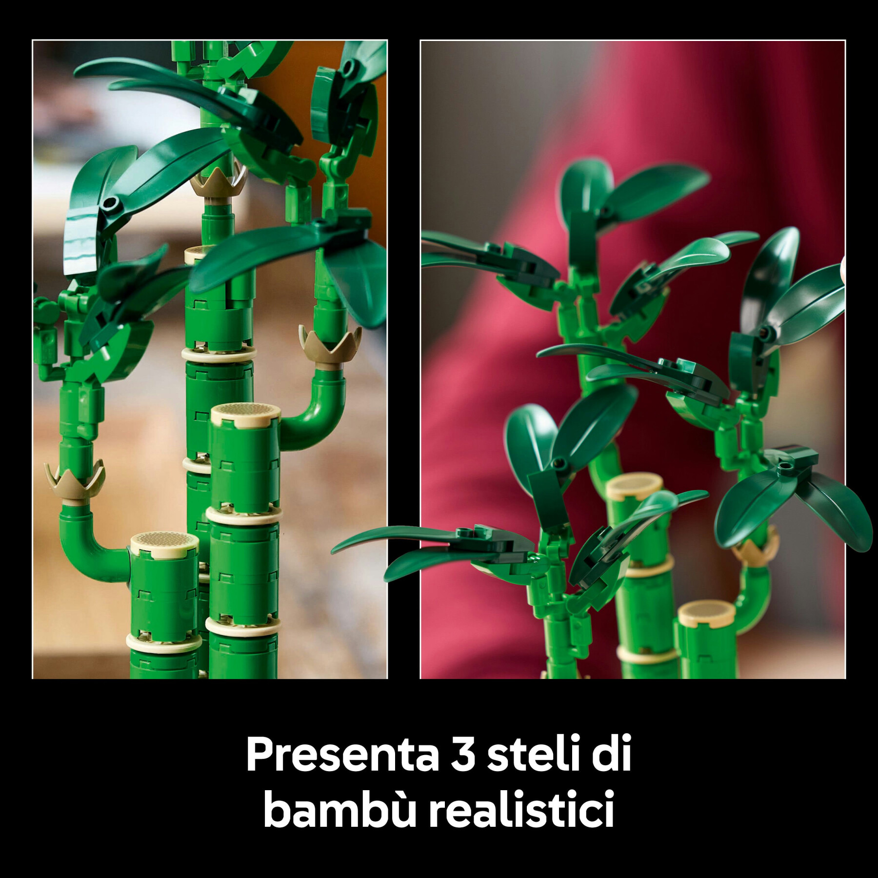 Lego botanicals 10344 bambù del buon auspicio, pianta artificiale da arredamento con vaso finto, regalo donna, uomo e adulti - LEGO ICONS