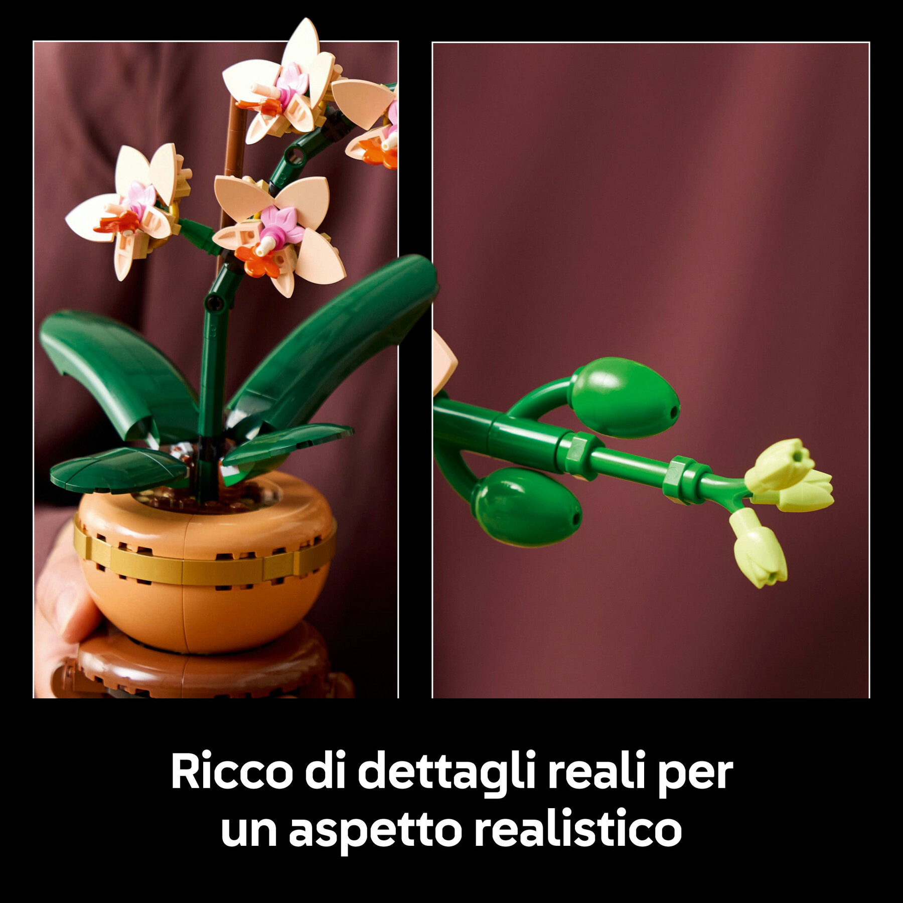 Lego botanicals 10343 mini-orchidea, fiori finti da costruire, botanical collection per adulti, idea regalo per donna o uomo - LEGO ICONS