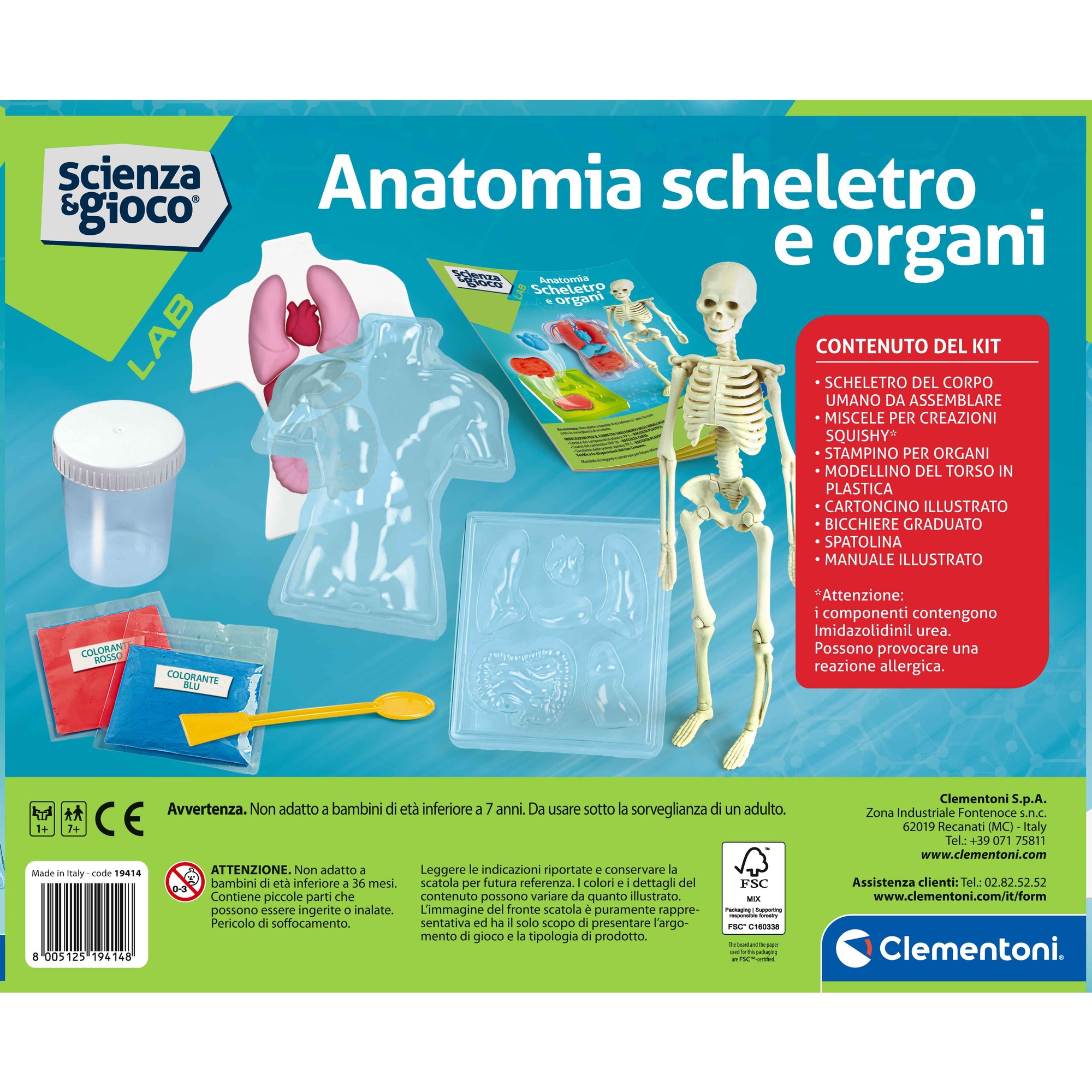 Clementoni scienza & gioco anatomia scheletro e organi 19414 – kit educativo anatomia umana - CLEMENTONI