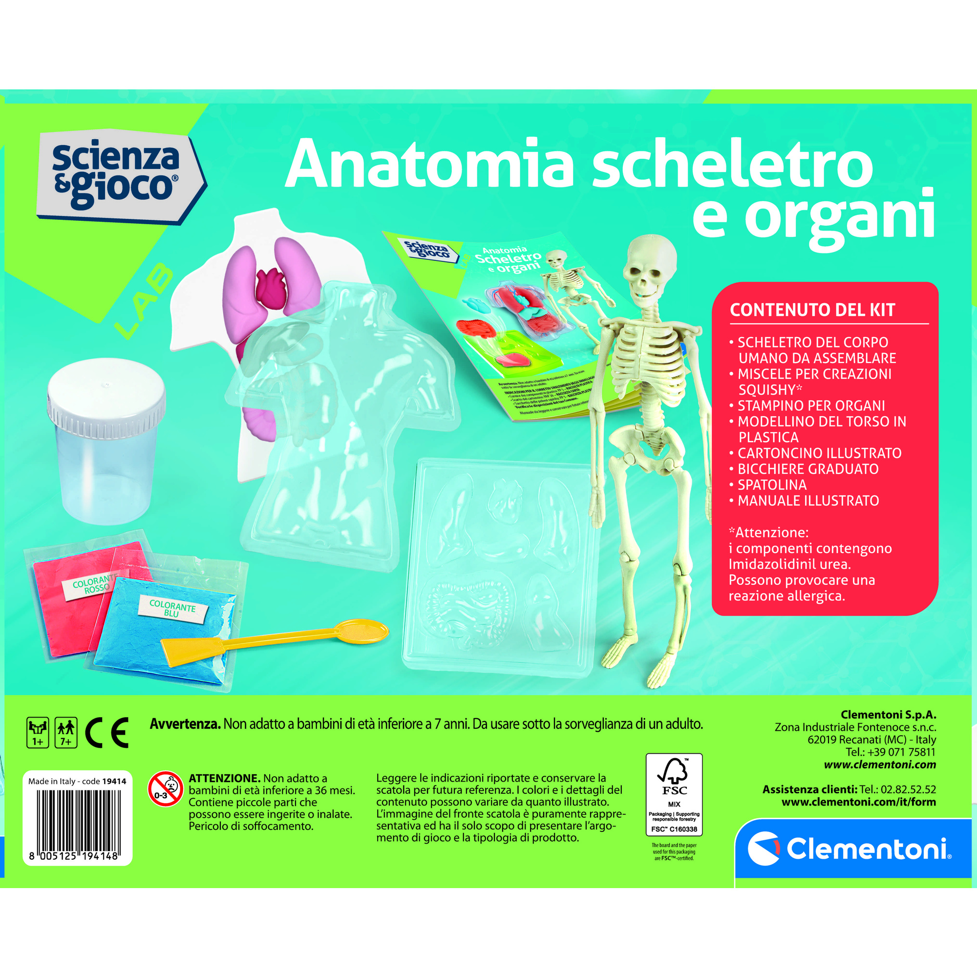 Clementoni scienza & gioco anatomia scheletro e organi 19414 – kit educativo anatomia umana - CLEMENTONI