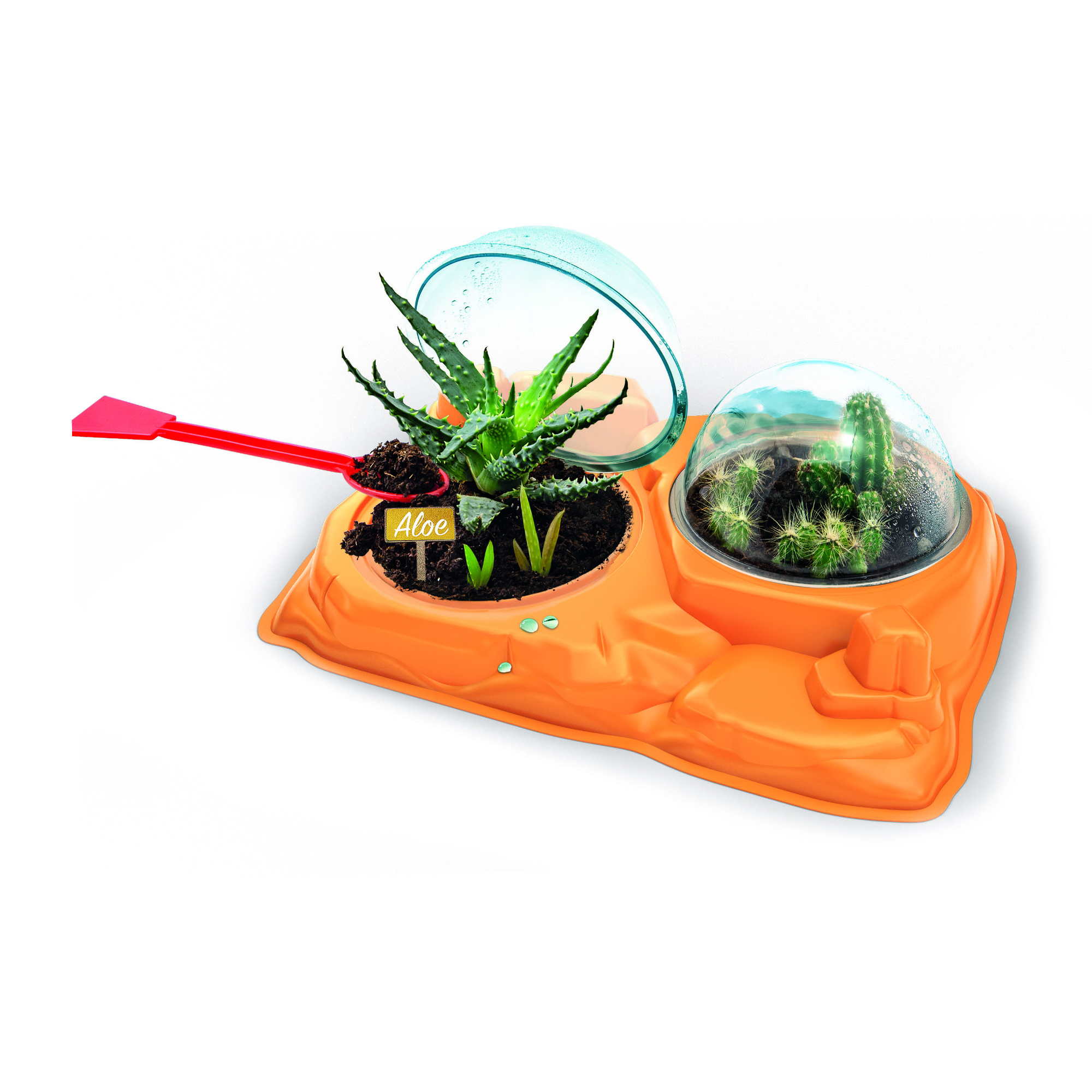 Clementoni scienza & gioco botanica delle piante grasse 19422 – gioco educativo botanica - CLEMENTONI