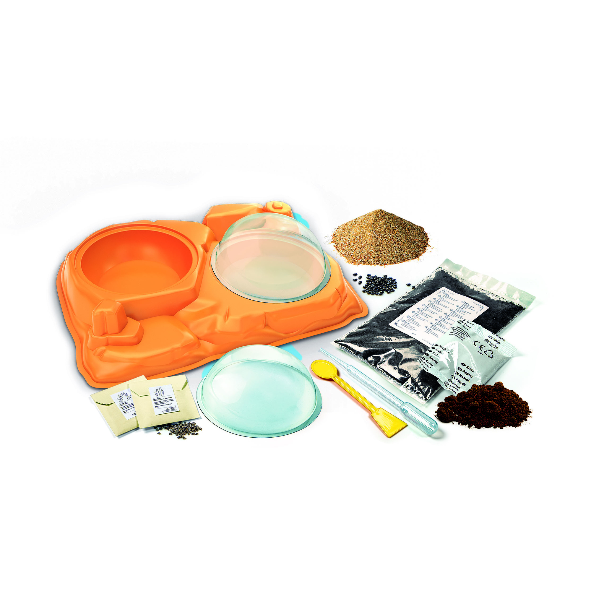 Clementoni scienza & gioco botanica delle piante grasse 19422 – gioco educativo botanica - CLEMENTONI