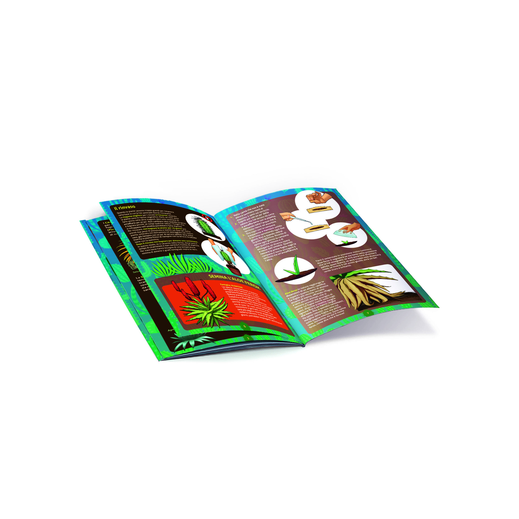Clementoni scienza & gioco botanica delle piante grasse 19422 – gioco educativo botanica - CLEMENTONI