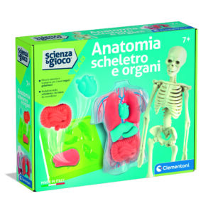 Clementoni scienza & gioco anatomia scheletro e organi 19414 – kit educativo anatomia umana - CLEMENTONI