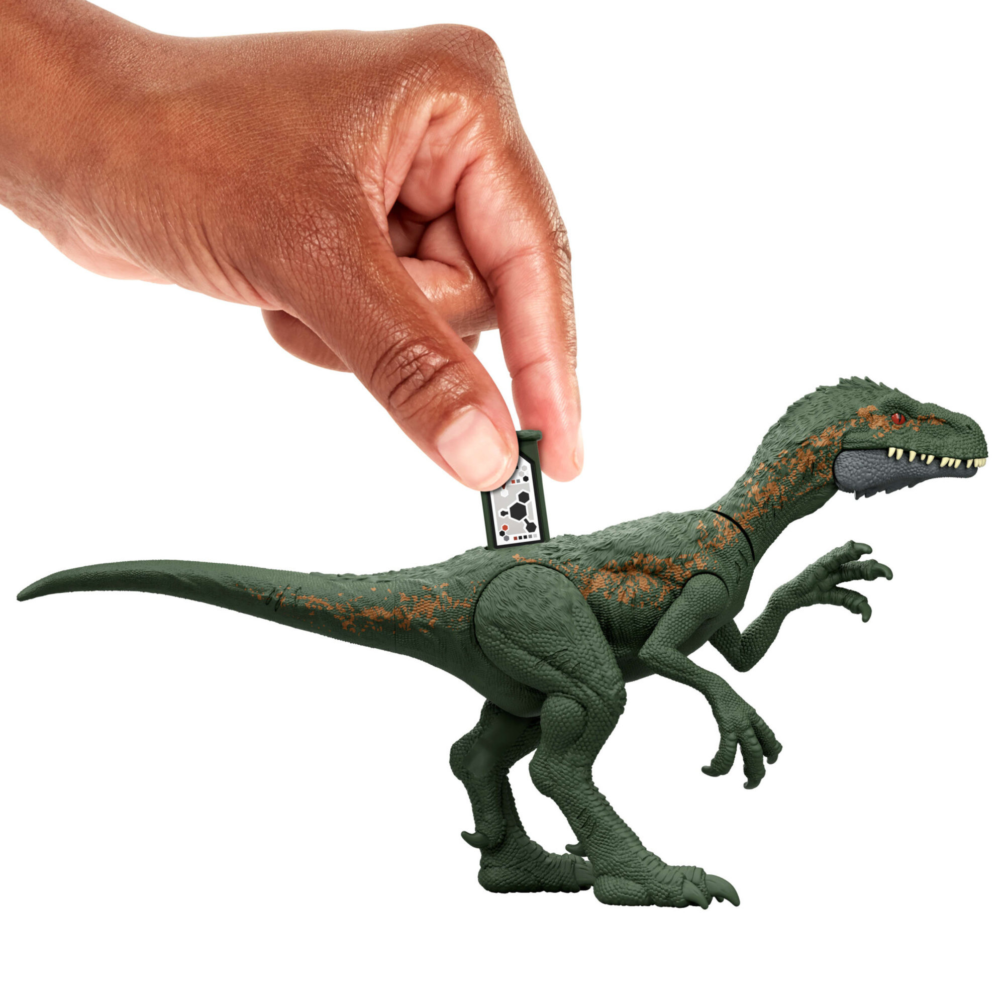 Mattel jurassic world - farlowichnus pericolo giurassico, dinoasuro snodato con dettagli autentici, specie di medie dimensioni - Jurassic World