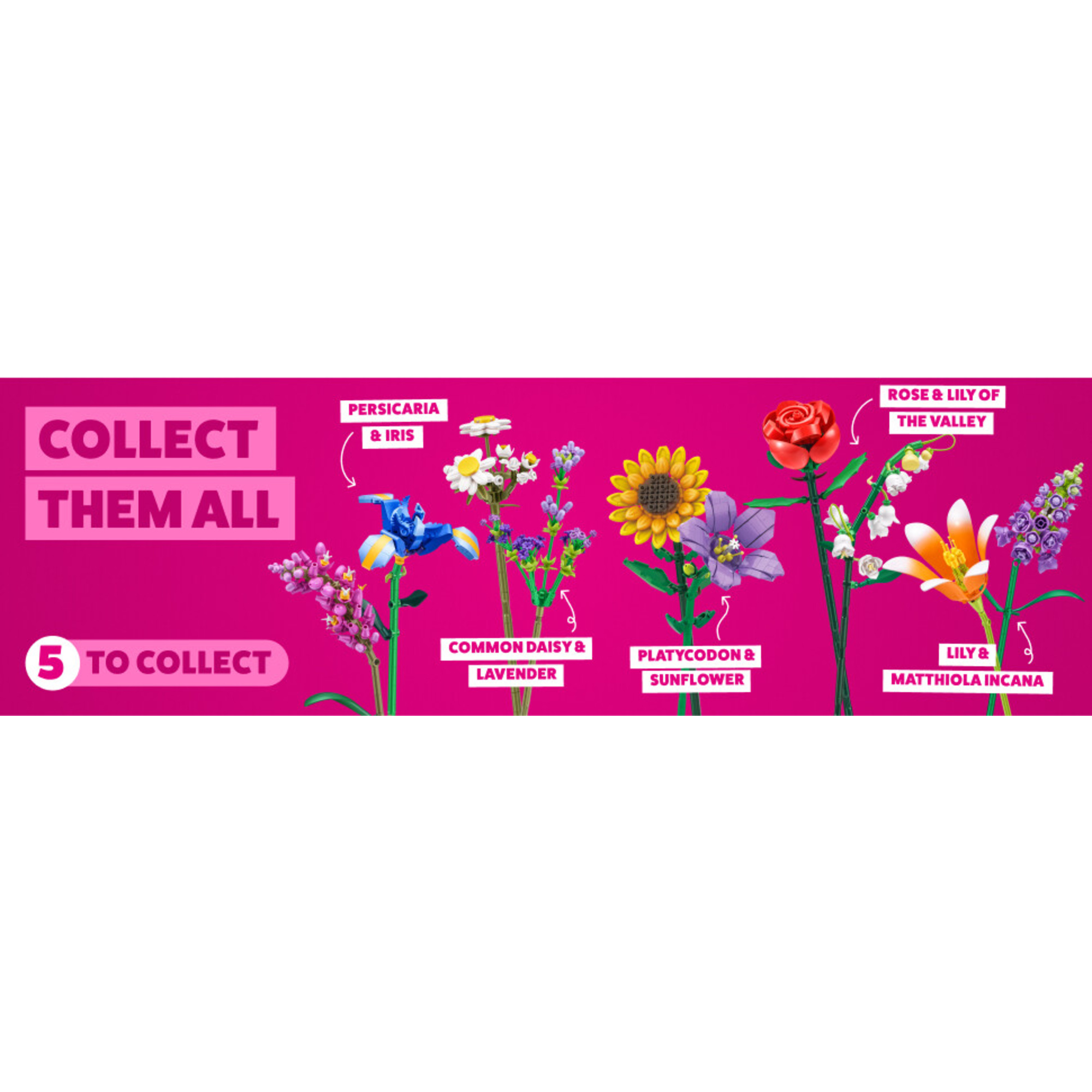 Max flowers 4 pack: set da giardino, 8 fiori - assortito - DB LINE