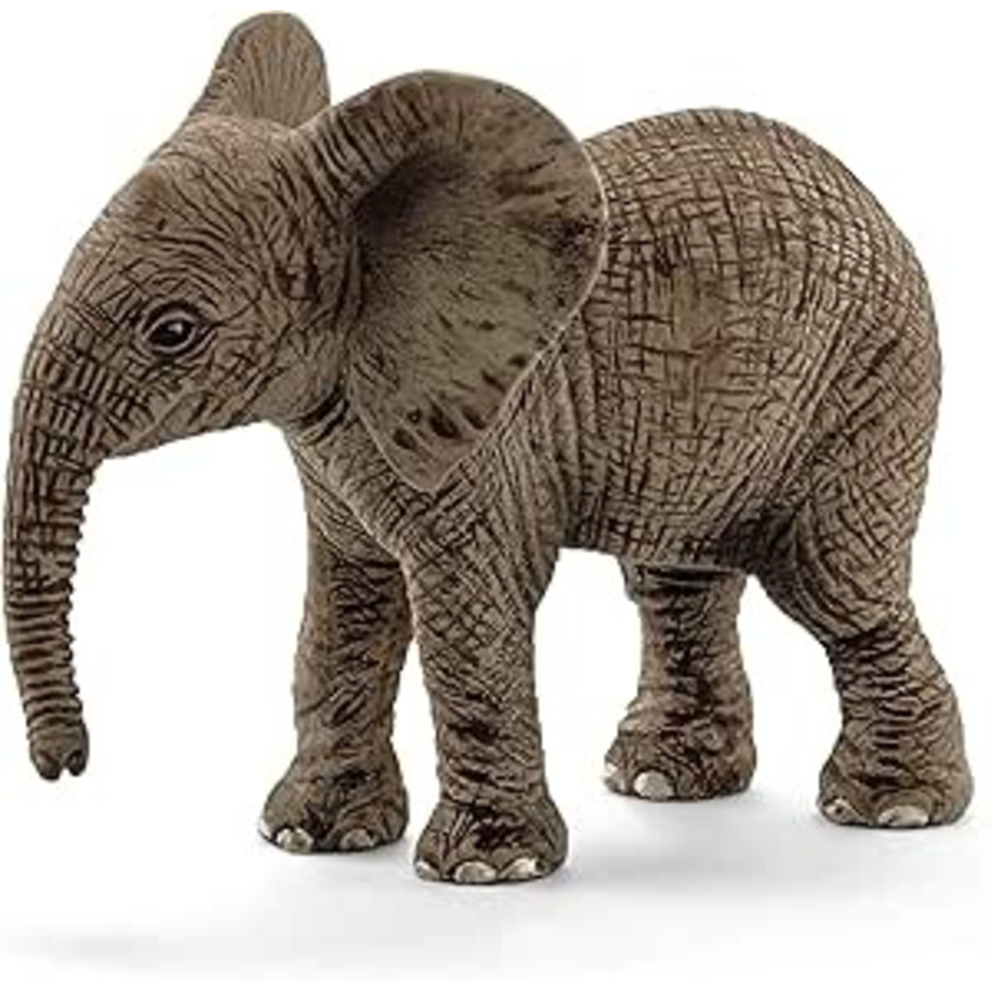 Cucciolo di tigre bianca - schleich - Schleich