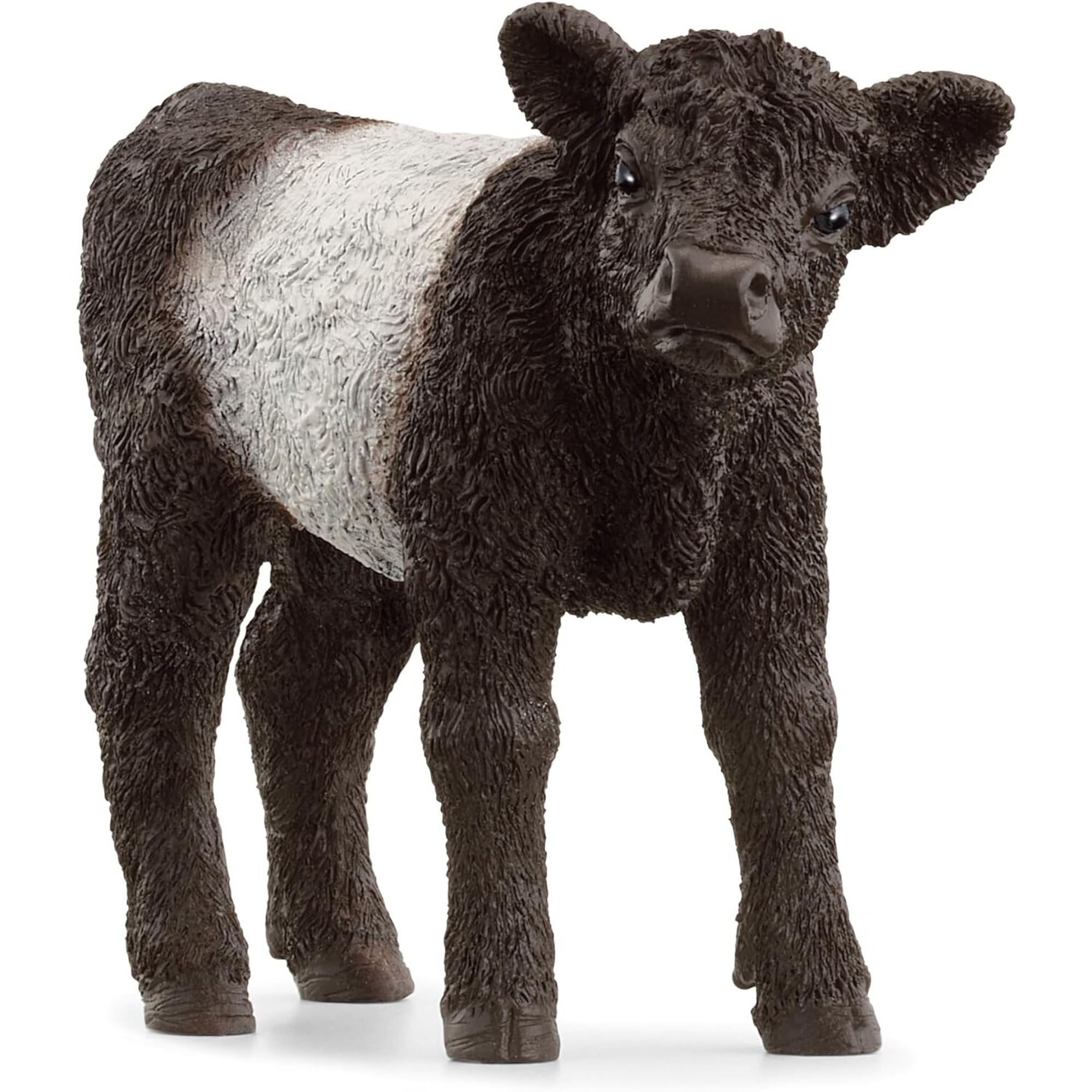 Vitello galloway - schleich - Schleich
