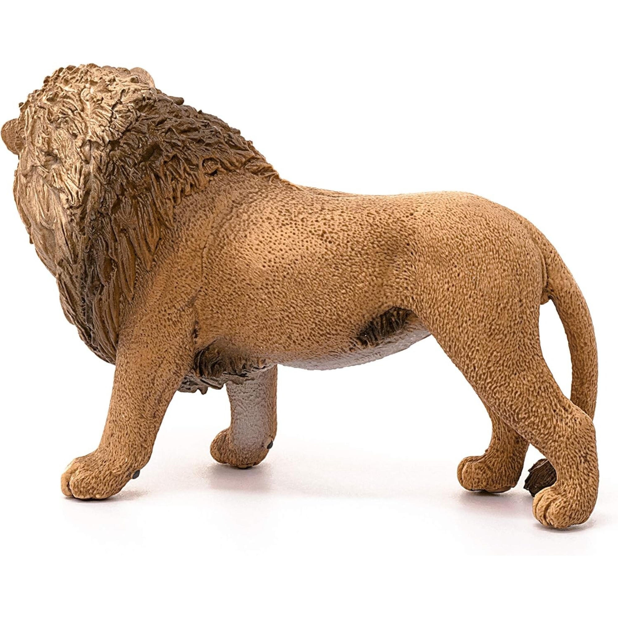 Leone, ruggente - schleich - Schleich