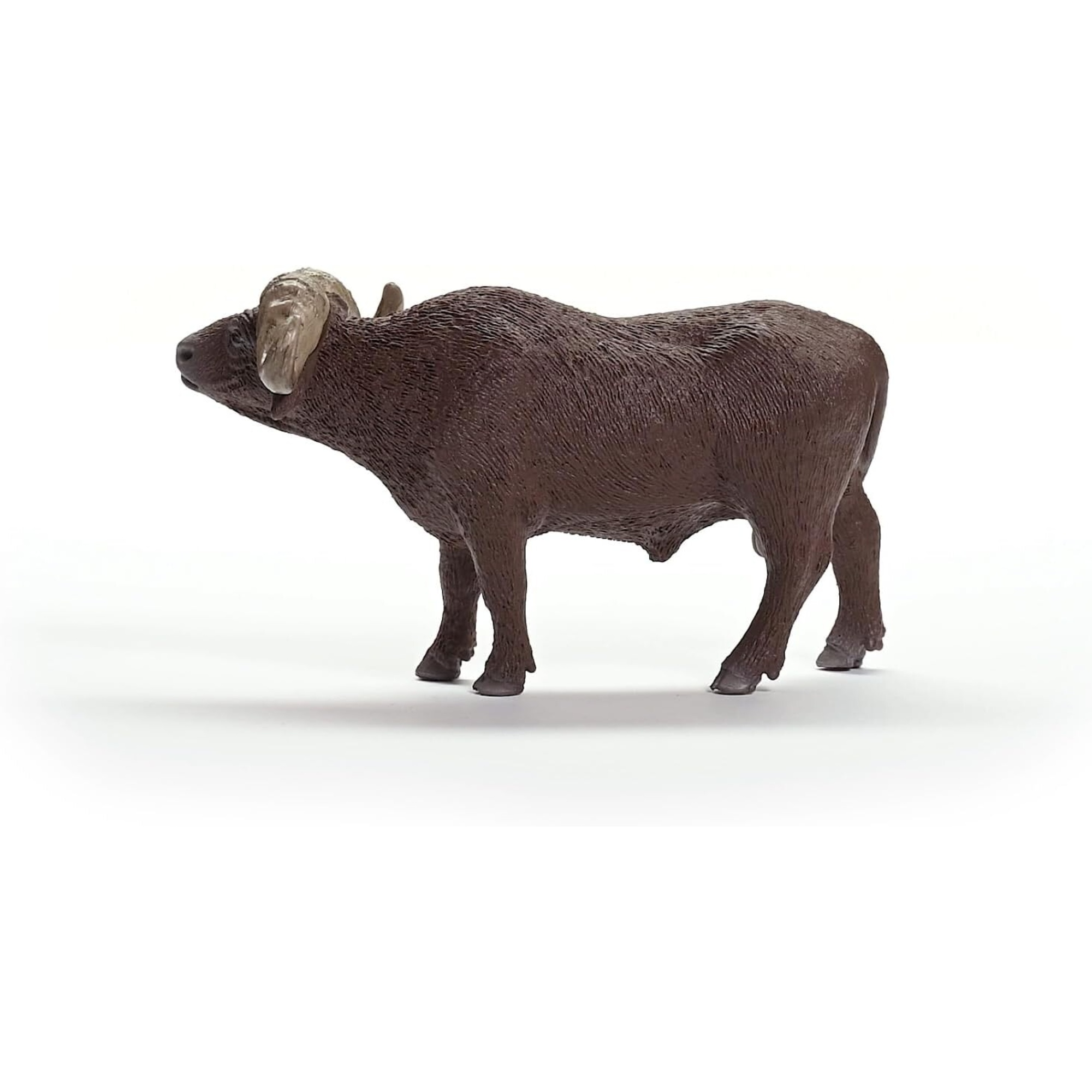 Bufalo africano - schleich - Schleich